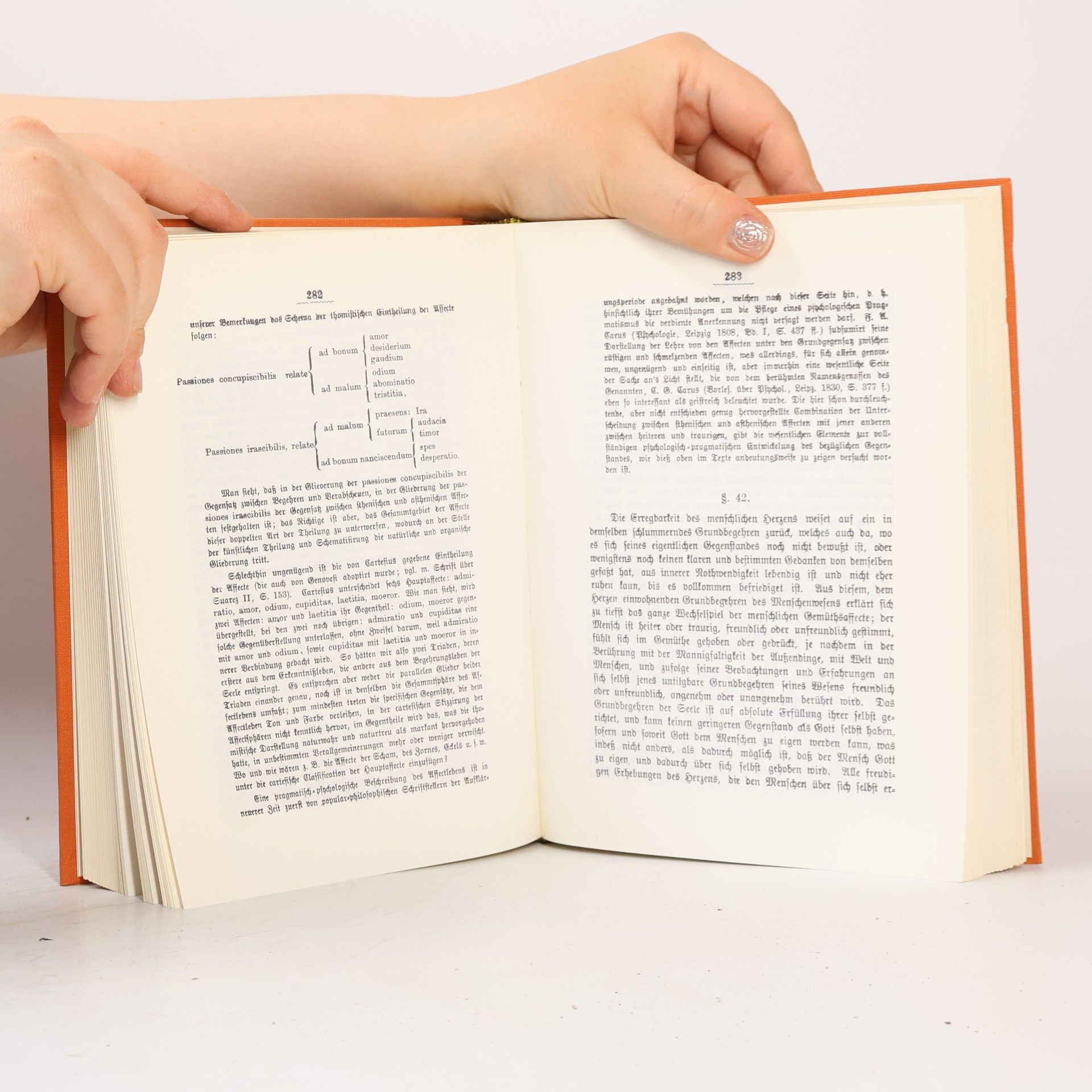 Carl Werner Speculative Anthropologie (reprint)