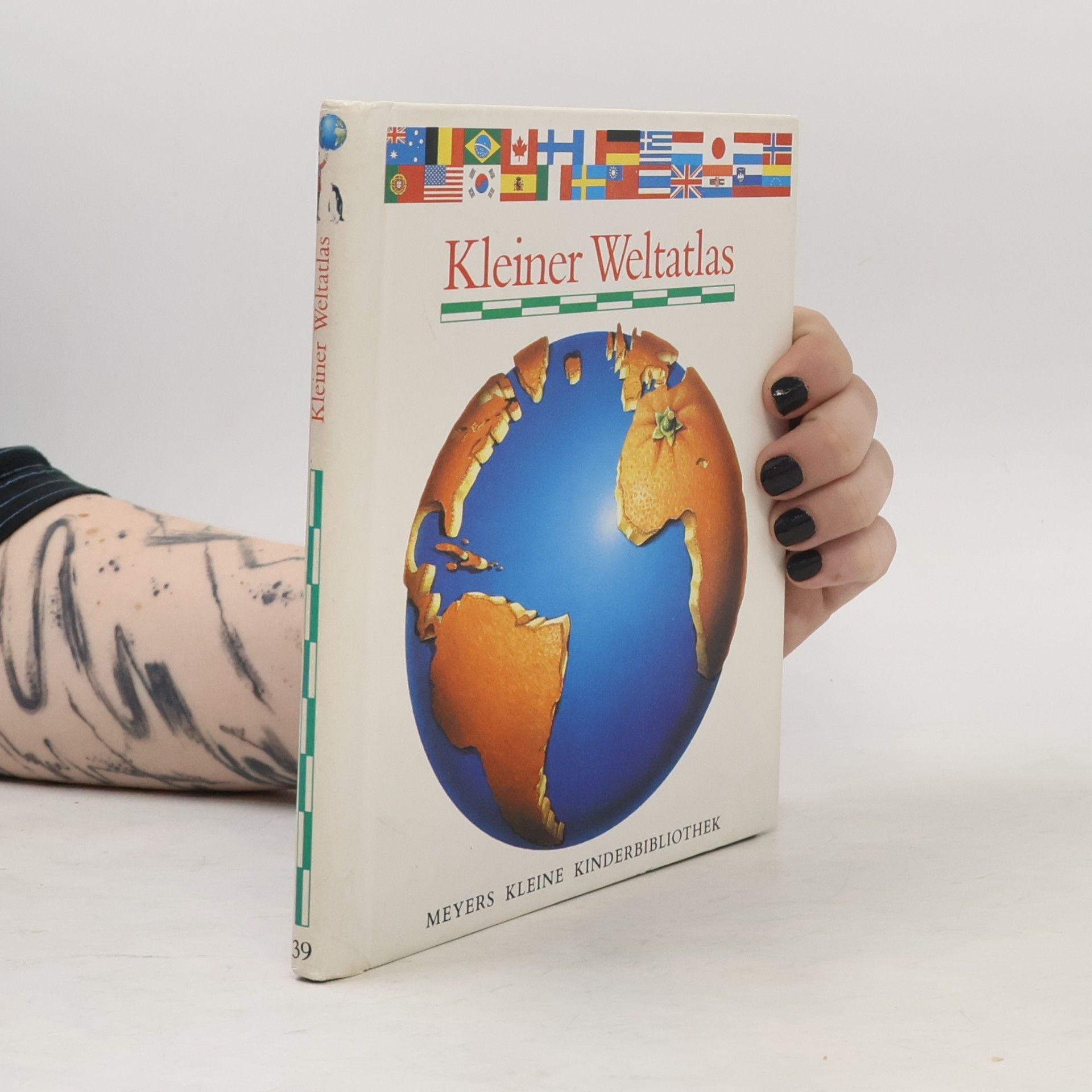 Kolektiv autorů Kleiner Weltatlas
