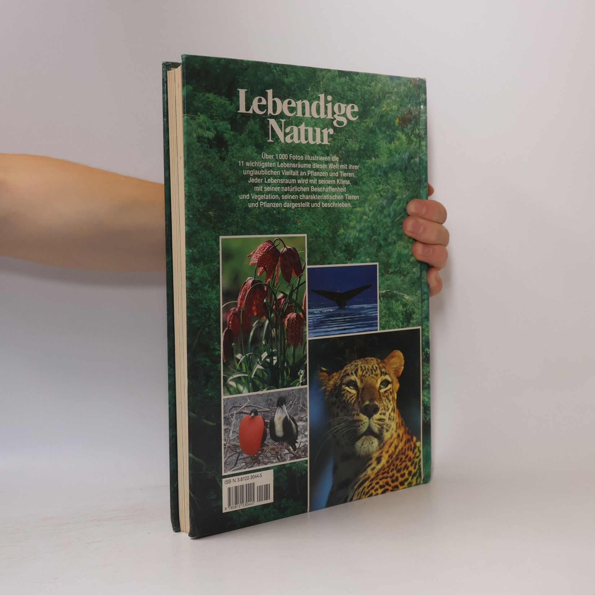 Teresa Farino Lebendige Natur