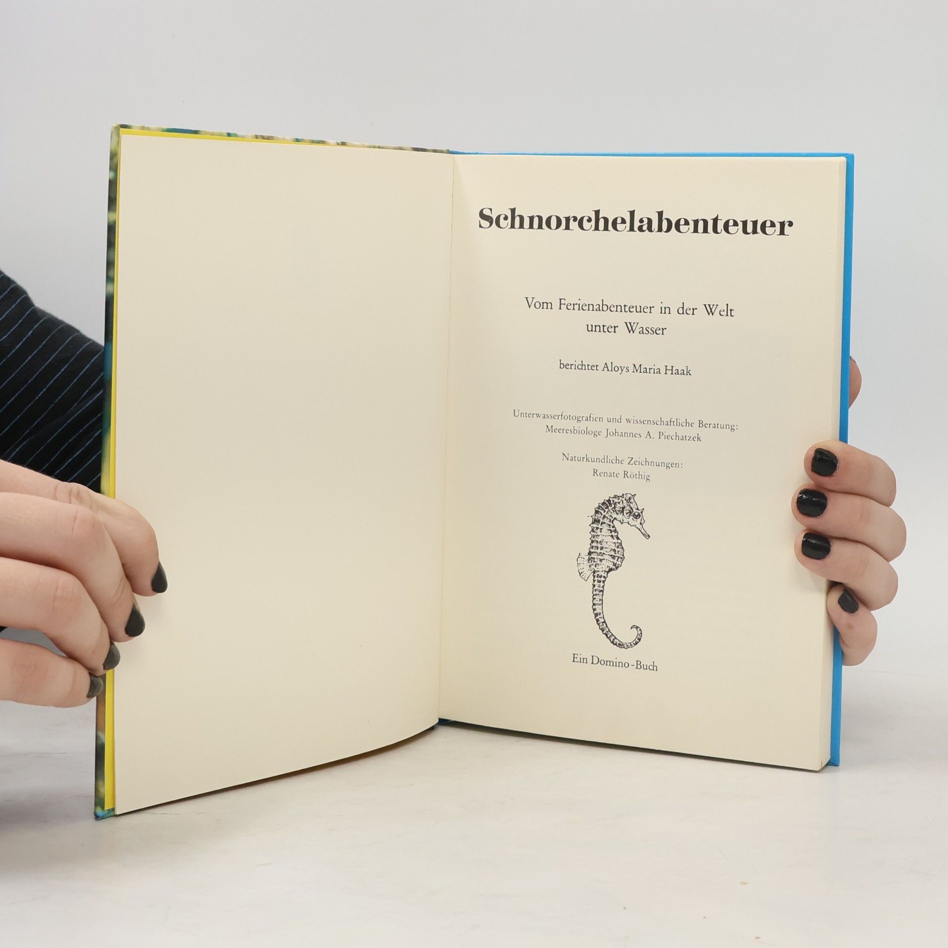 Aloys Maria Haak Schnorchelabenteuer