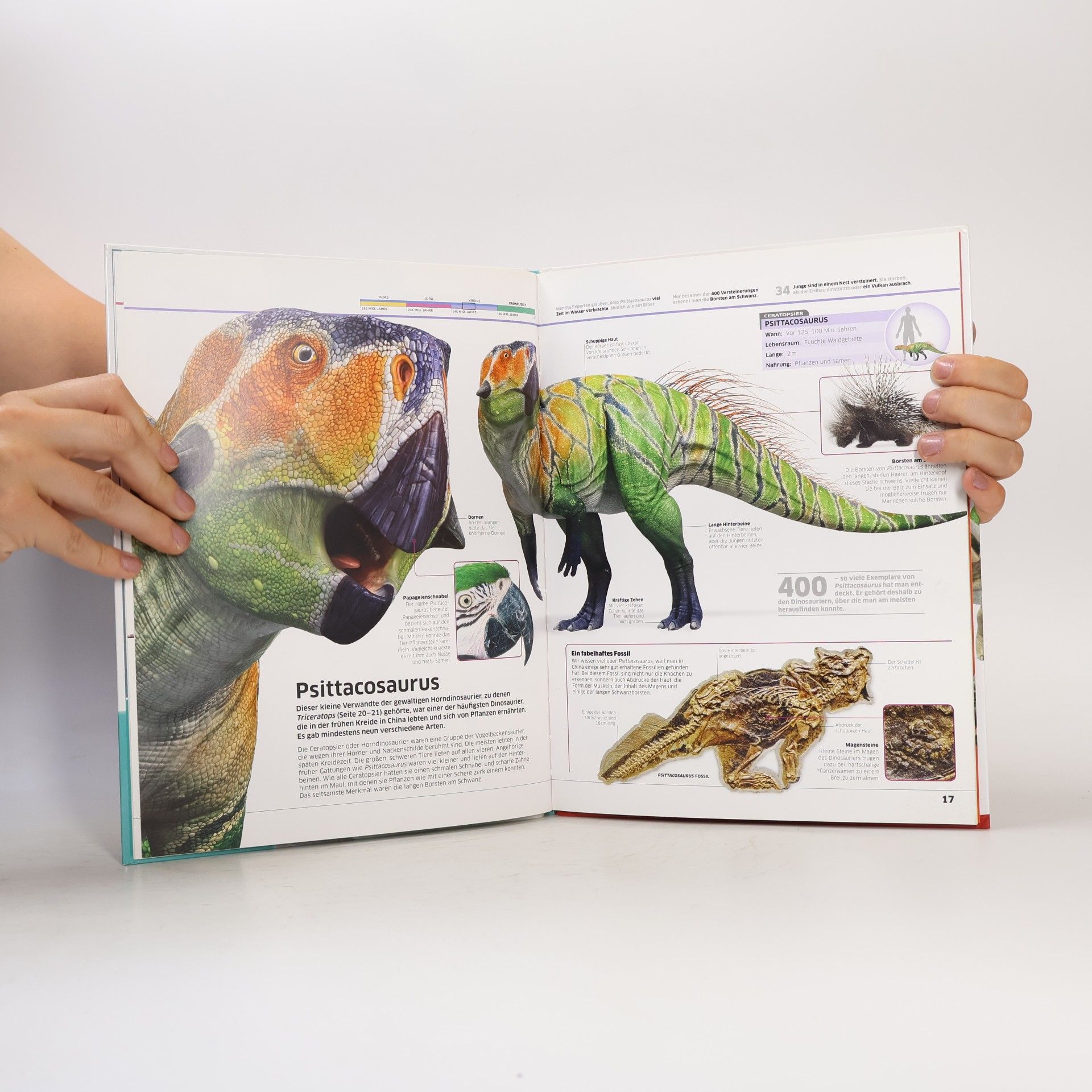 Various authors memo Quiz Dinosaurier