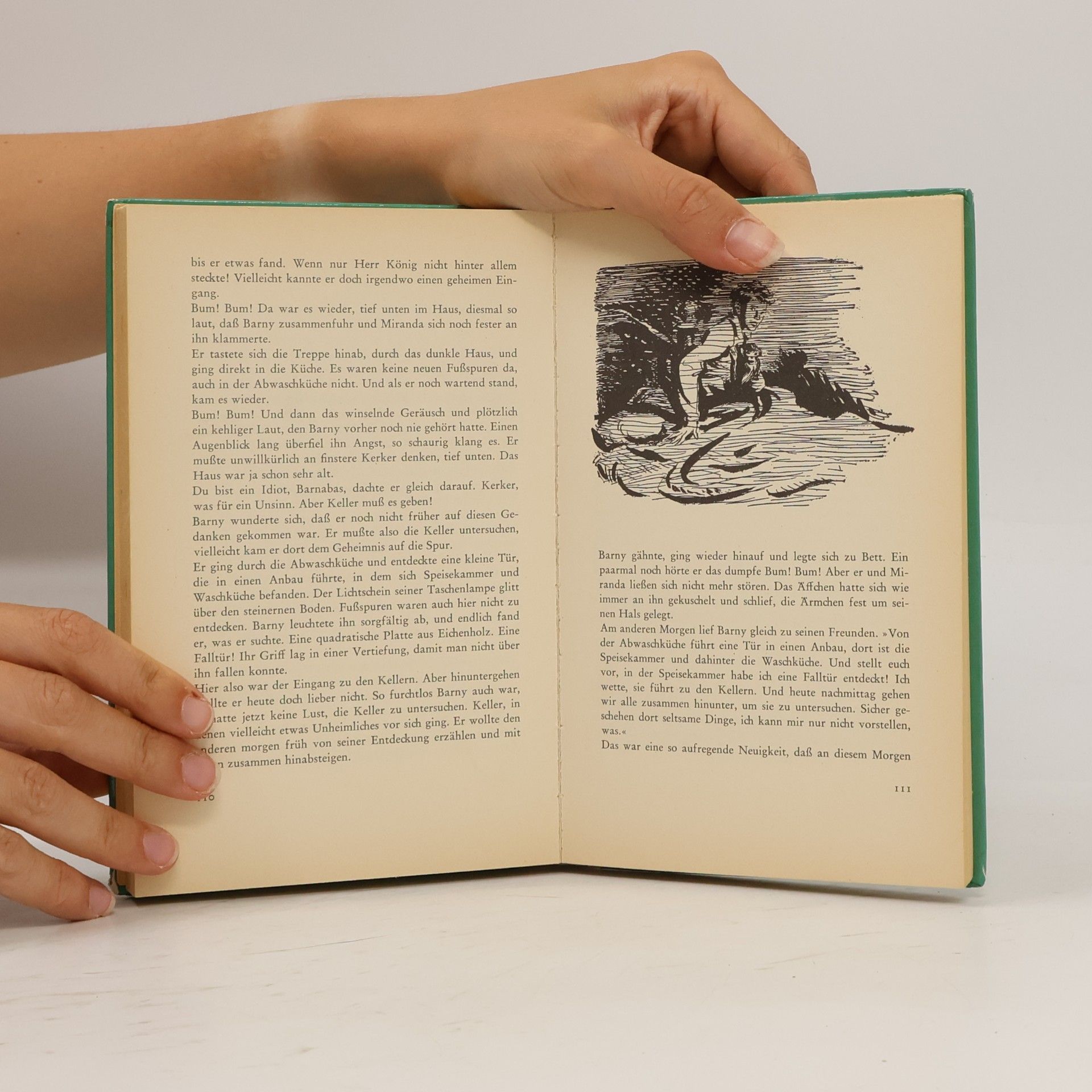 Enid Blyton Rätsel um das verlassene Haus
