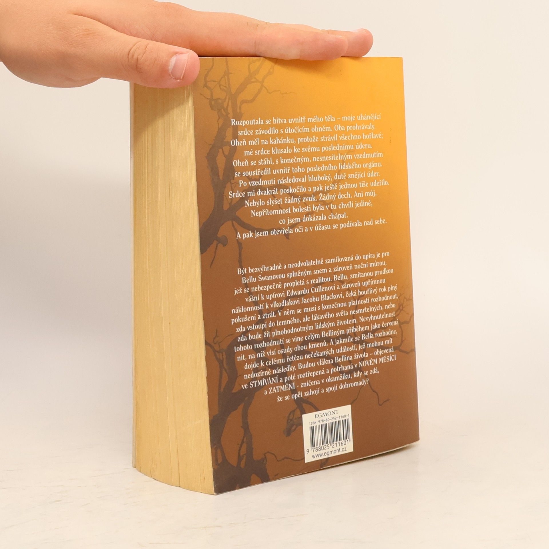 Stephenie Meyer Rozbřesk