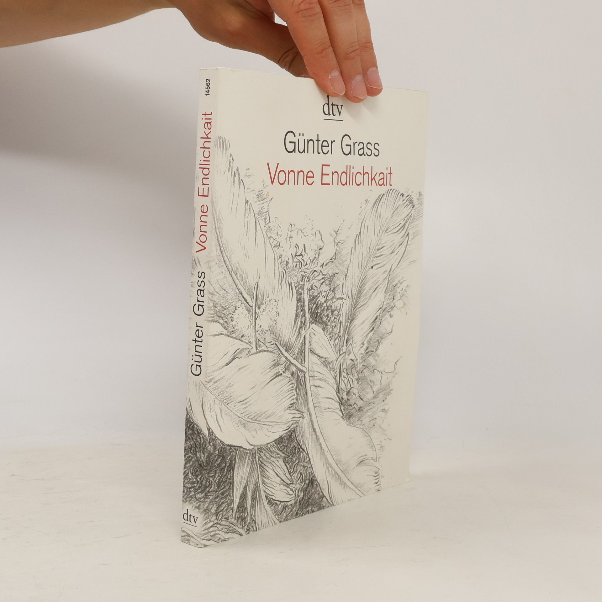 Günter Grass Vonne Endlichkait