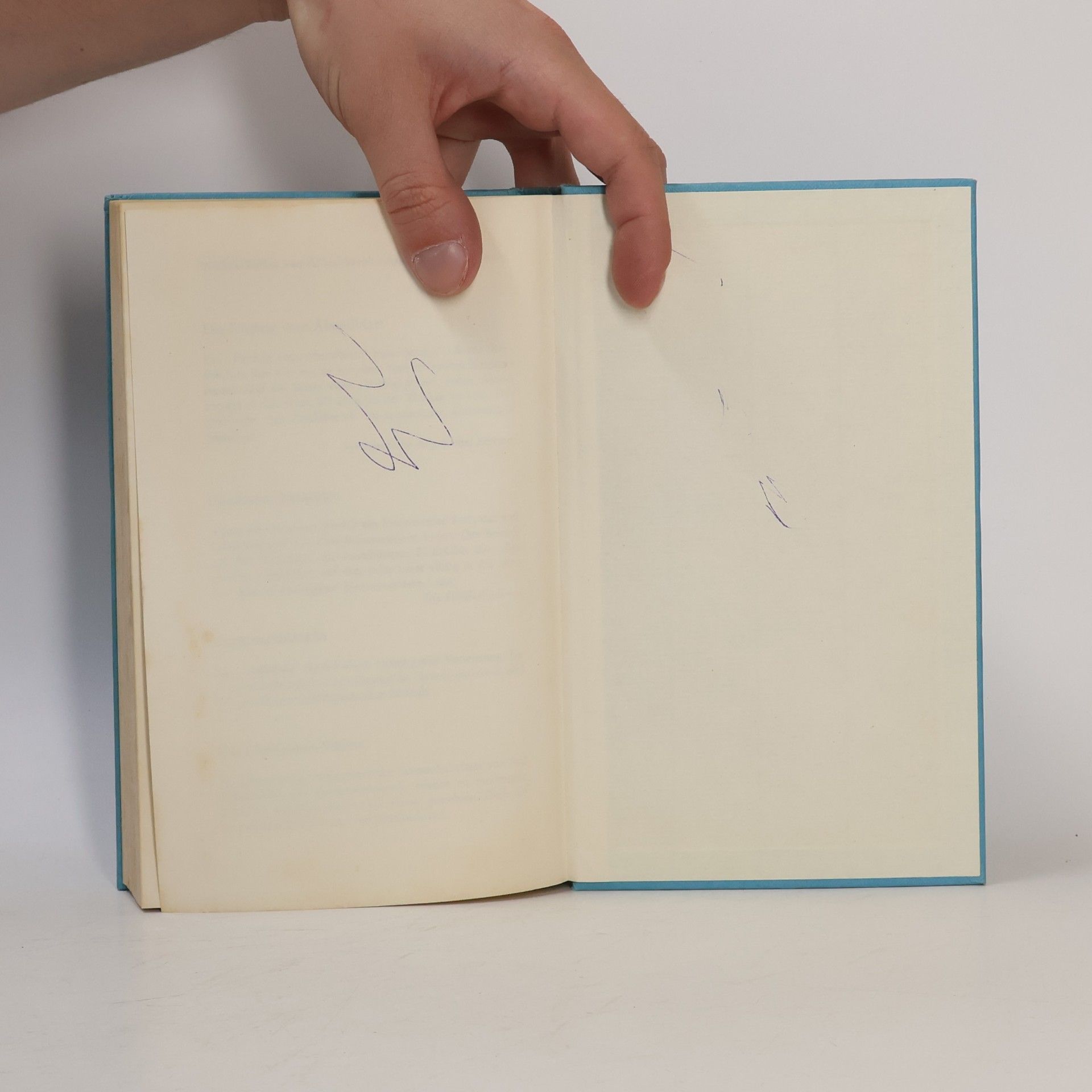 Alfred Weidenmann Der gelbe Handschuh