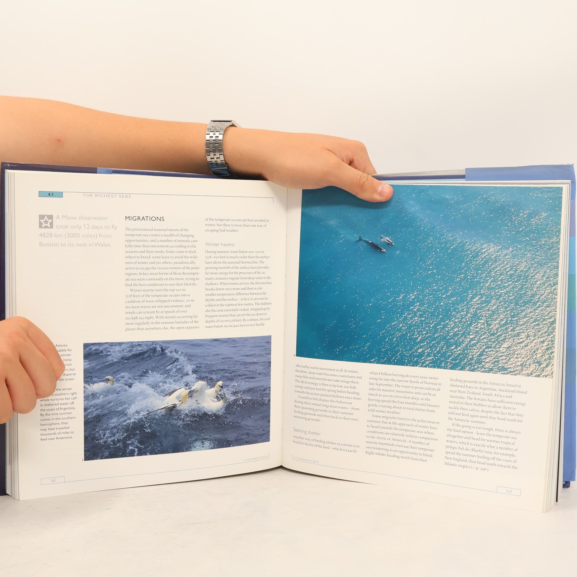 Kolektiv autorů The Blue Planet: A Natural History of the Oceans