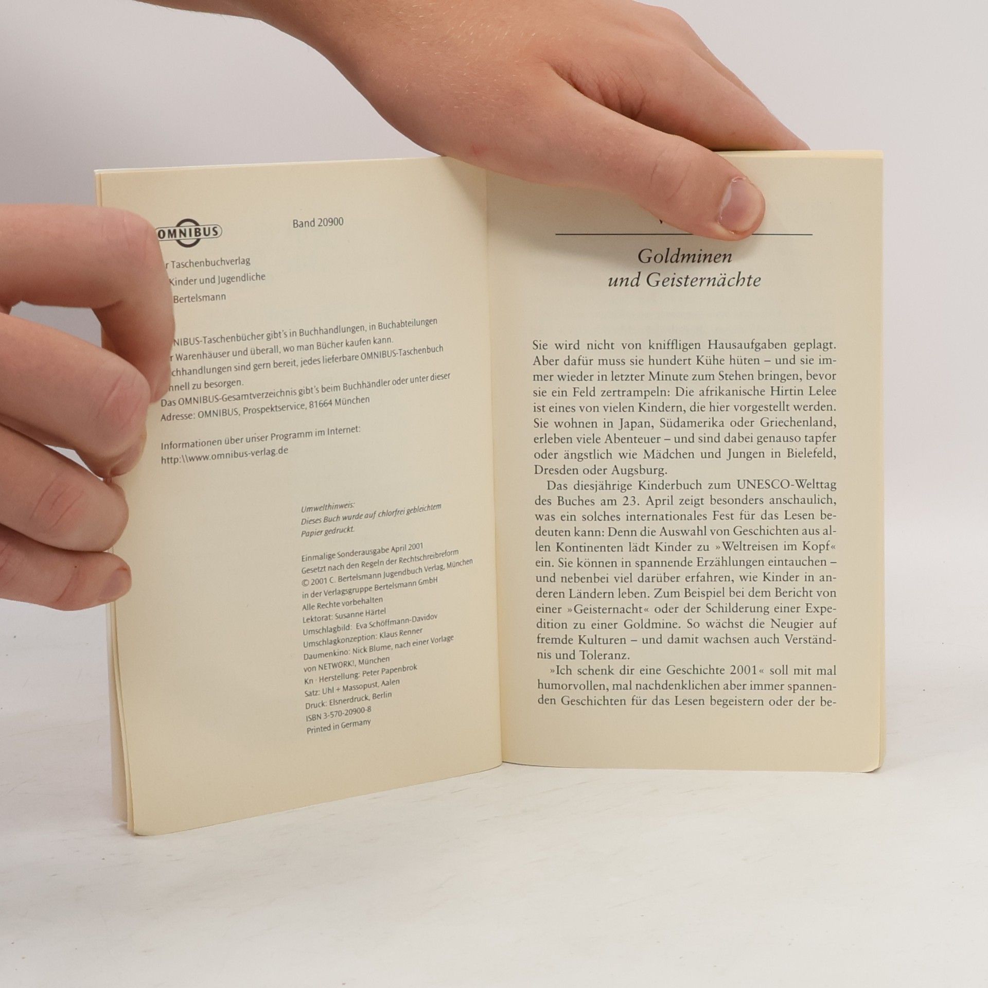Auteurscollectief Ich schenk dir eine Geschichte. Geschichten aus aller Welt 2001