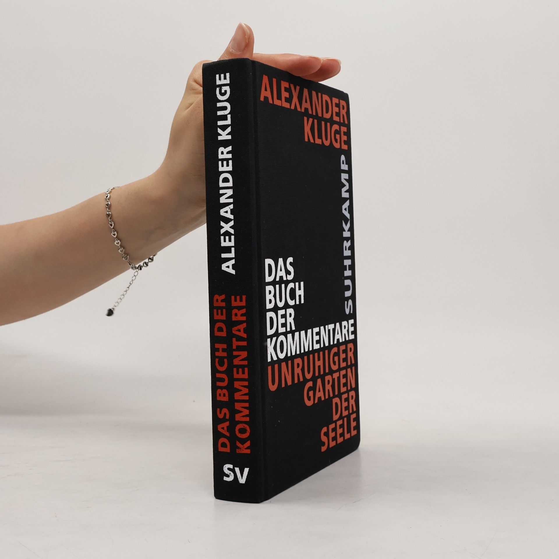Alexander Kluge Das Buch der Kommentare. Unruhiger Garten der Seele
