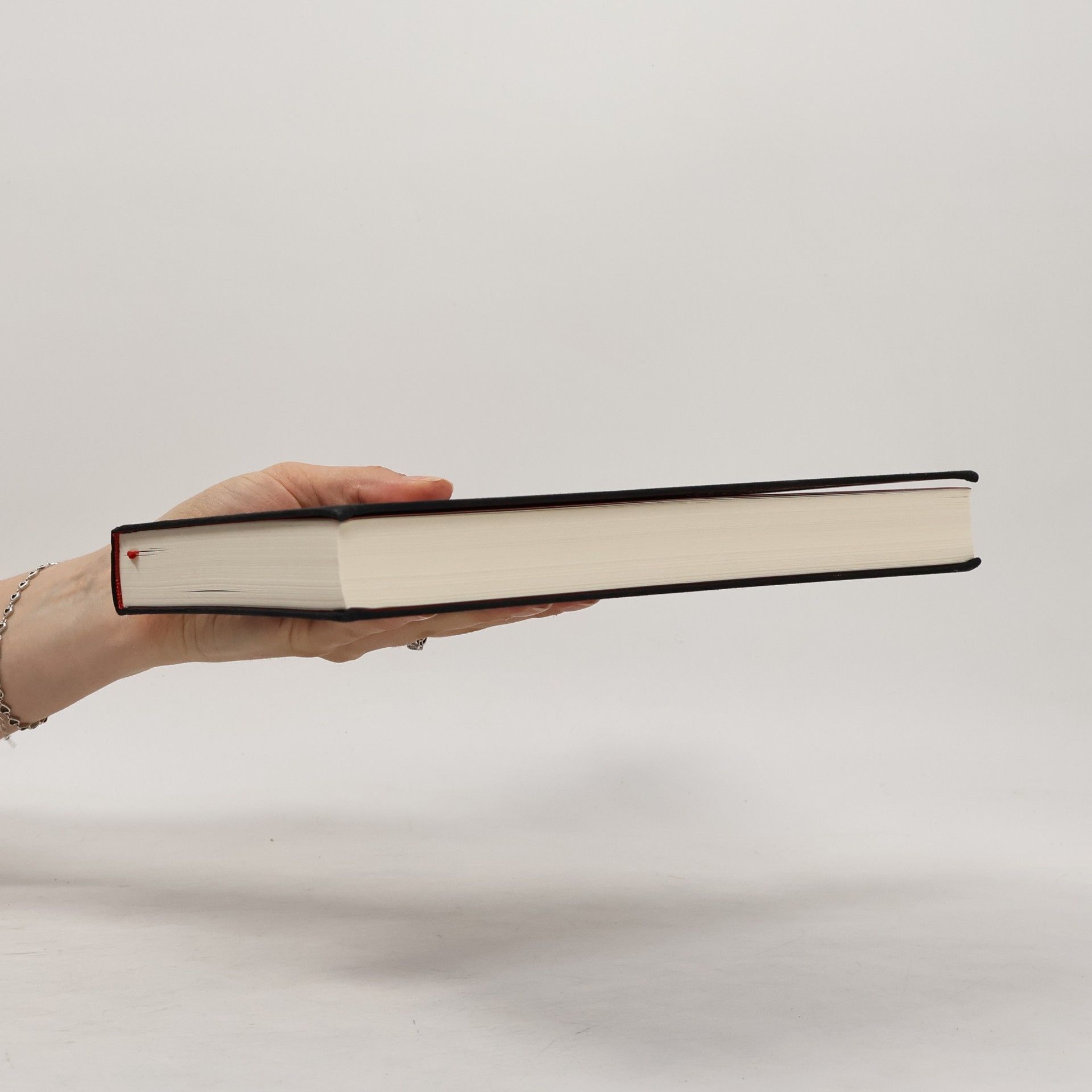 Alexander Kluge Das Buch der Kommentare. Unruhiger Garten der Seele