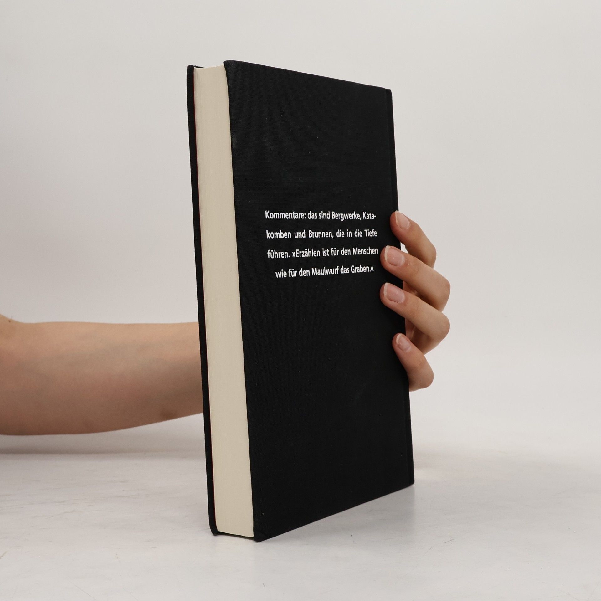 Alexander Kluge Das Buch der Kommentare. Unruhiger Garten der Seele