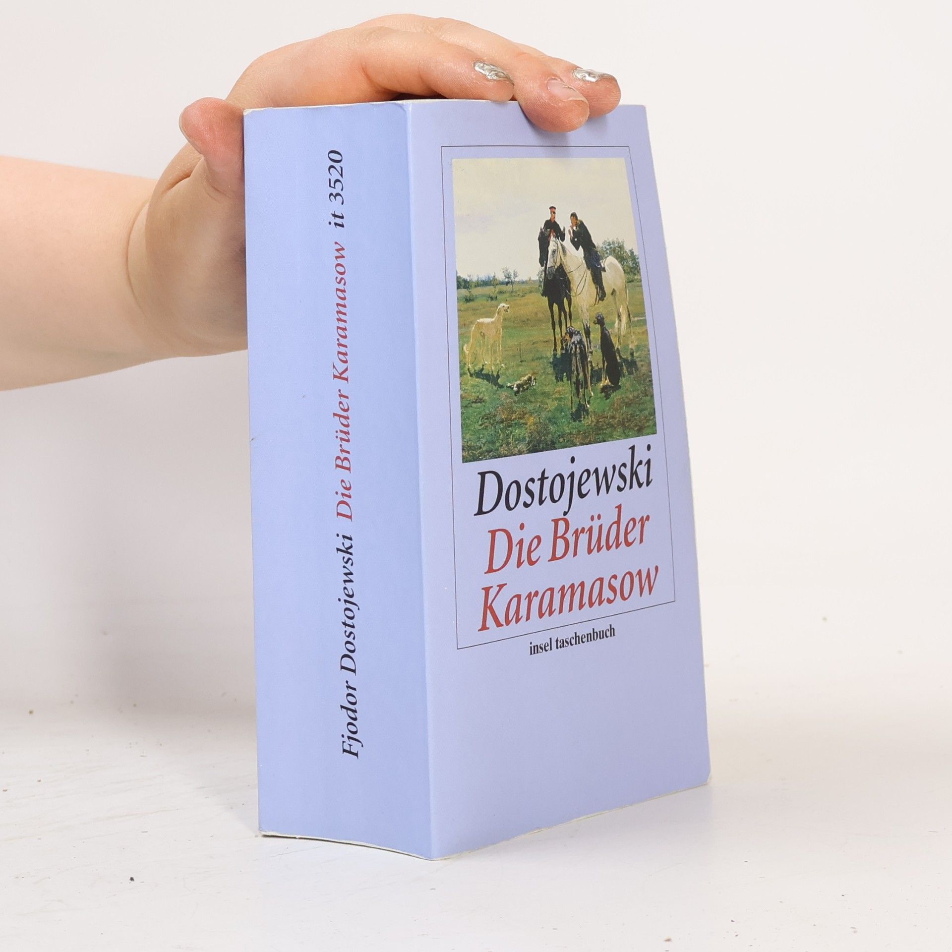 Karl Nötzel Insel Taschenbuch: Die Brüder Karamasow