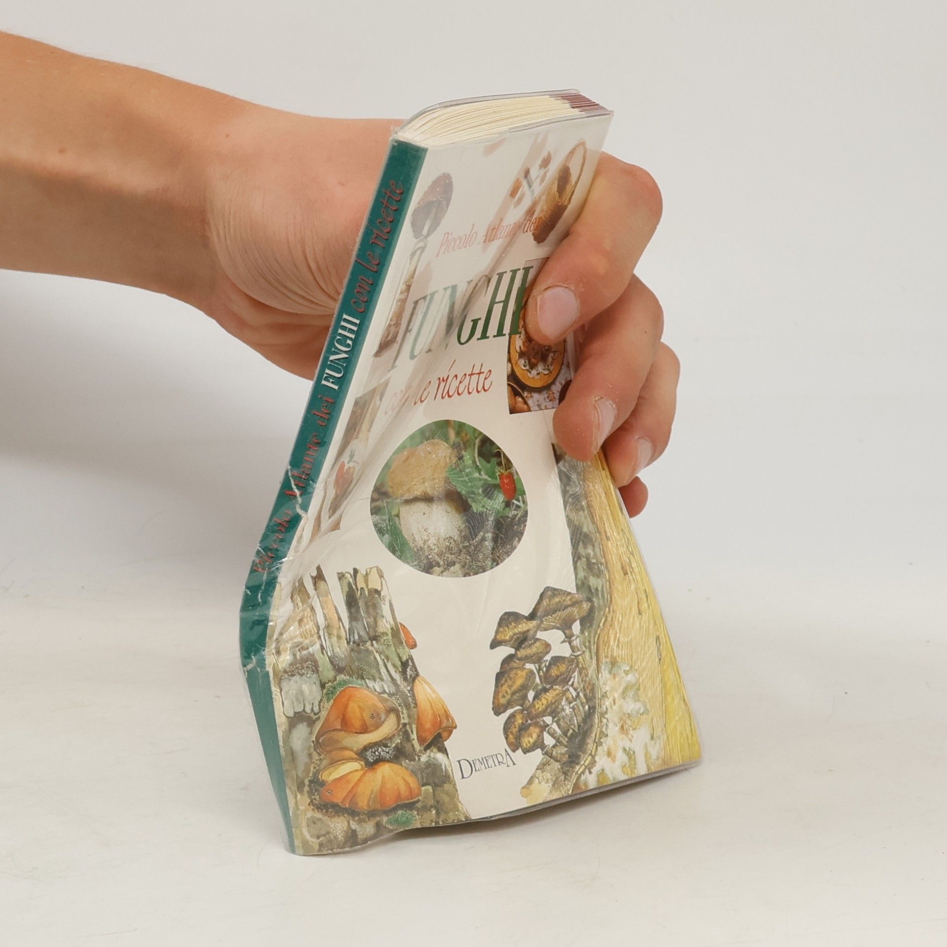 Autorenkollektiv Piccolo atlante dei funghi con le ricette