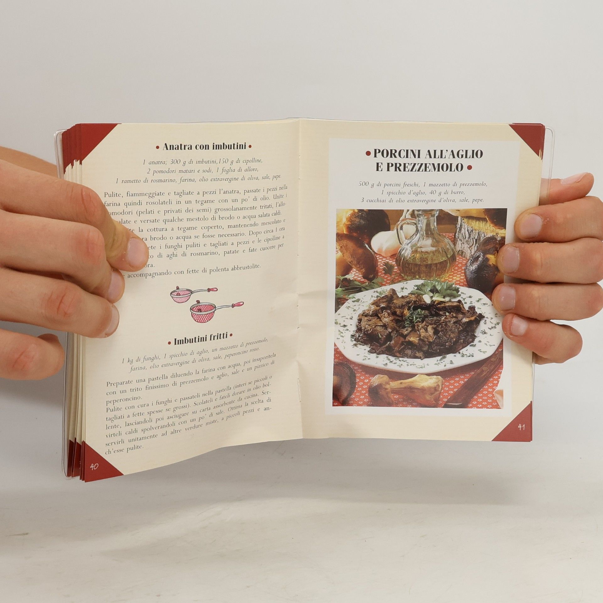 Piccolo atlante dei funghi con le ricette