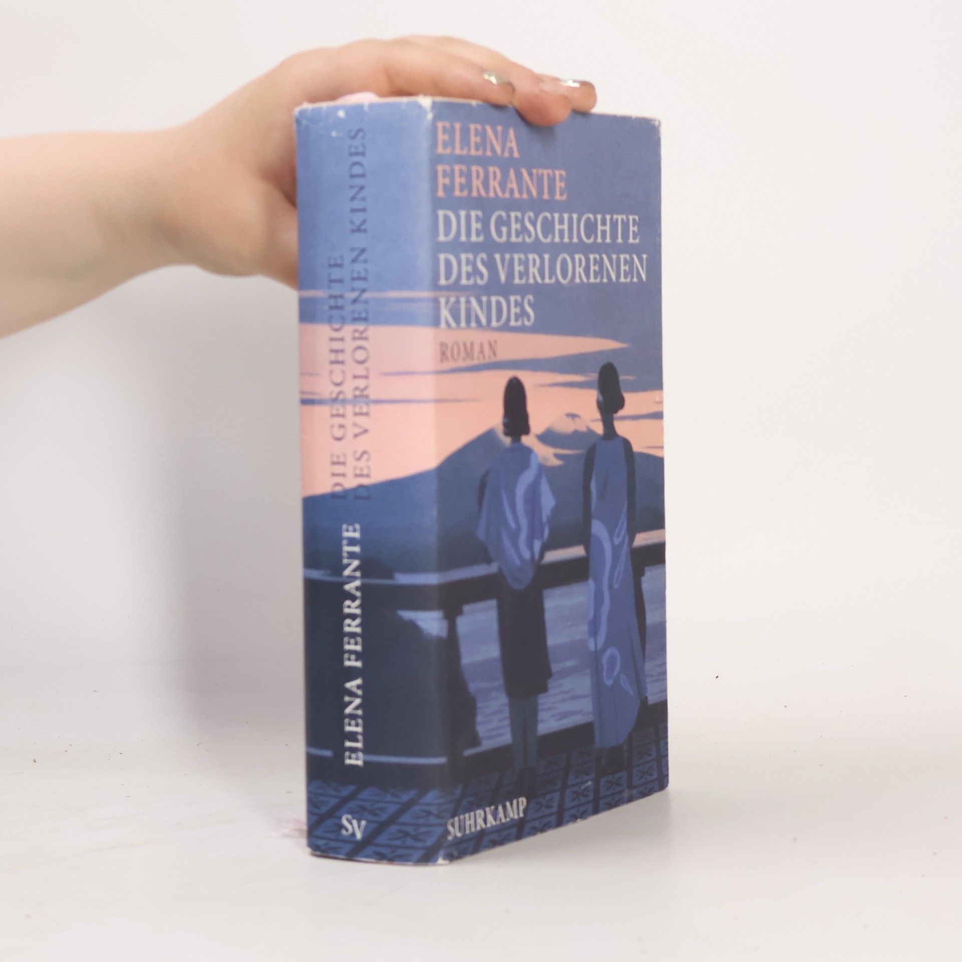 Elena Ferrante Die Geschichte Des Verlorenen Kindes