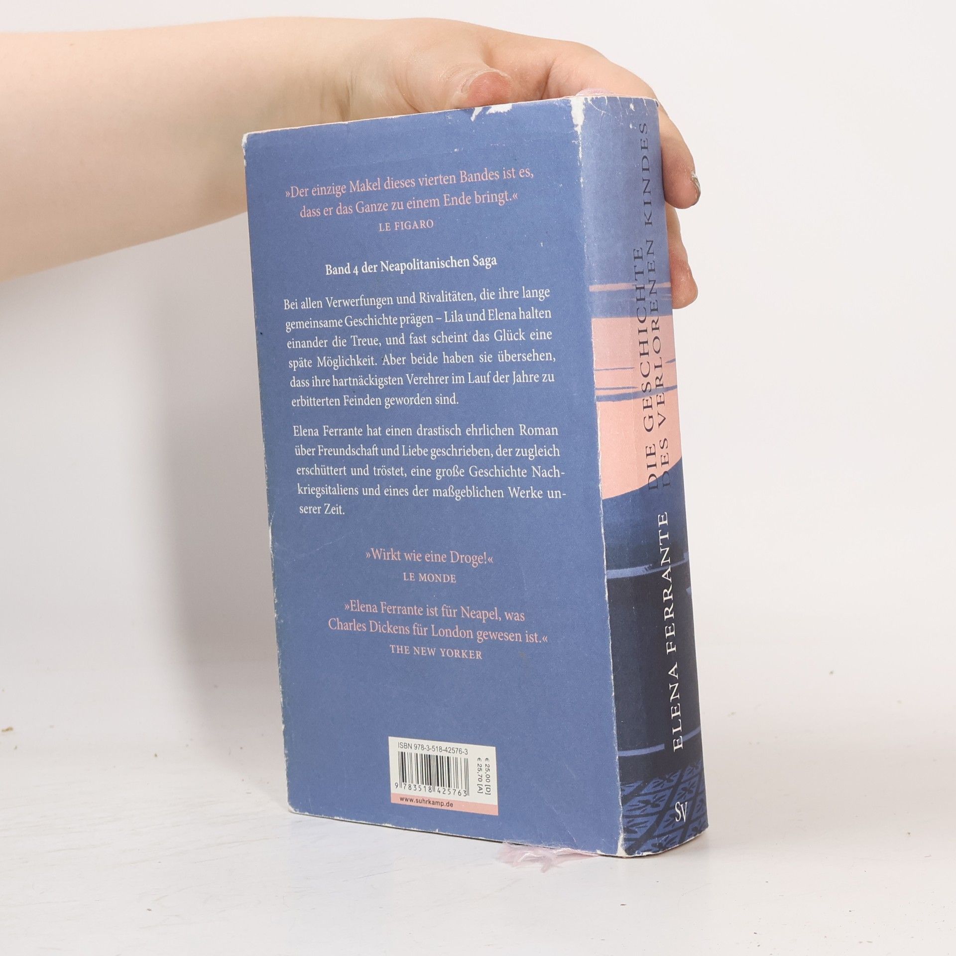 Elena Ferrante Die Geschichte Des Verlorenen Kindes