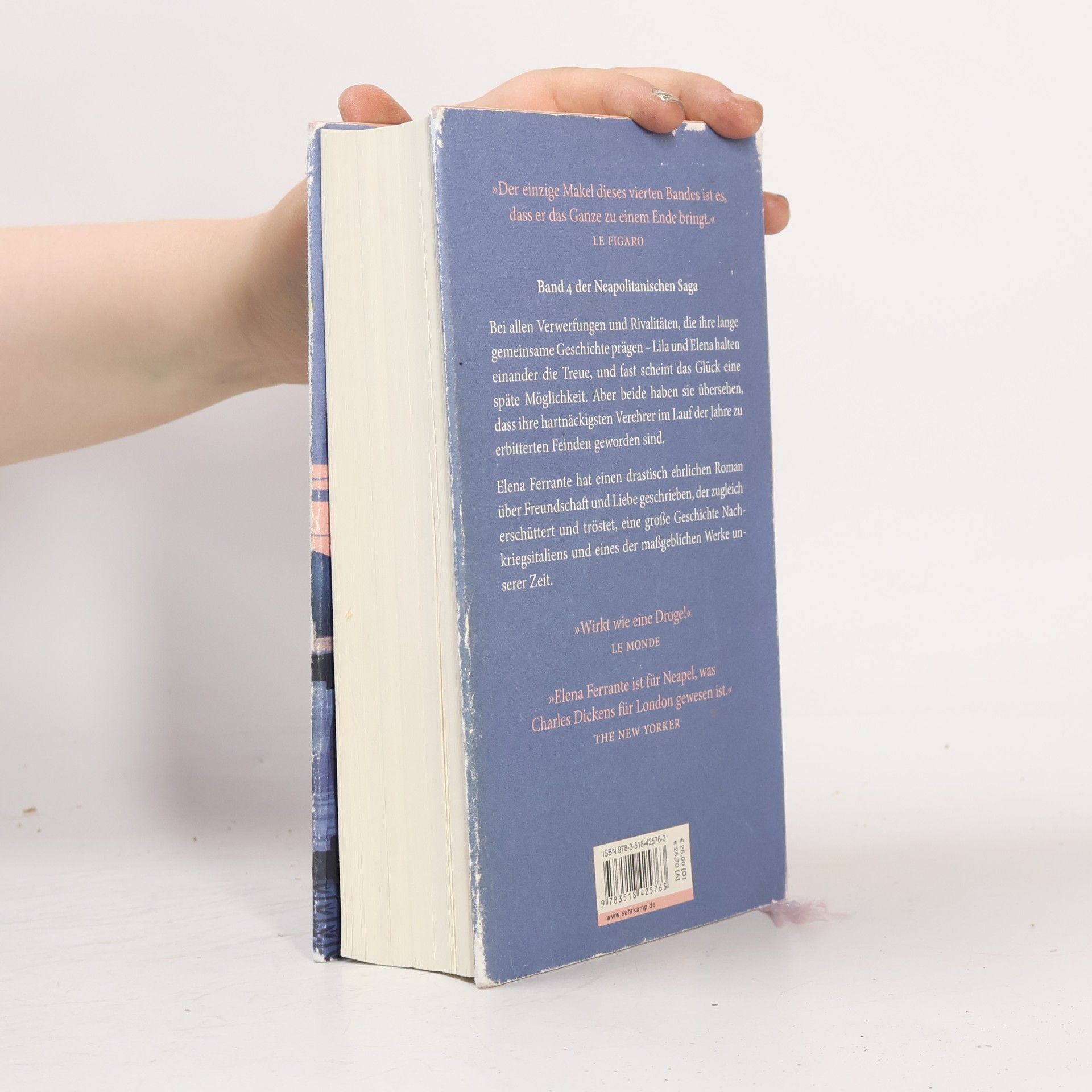 Elena Ferrante Die Geschichte Des Verlorenen Kindes