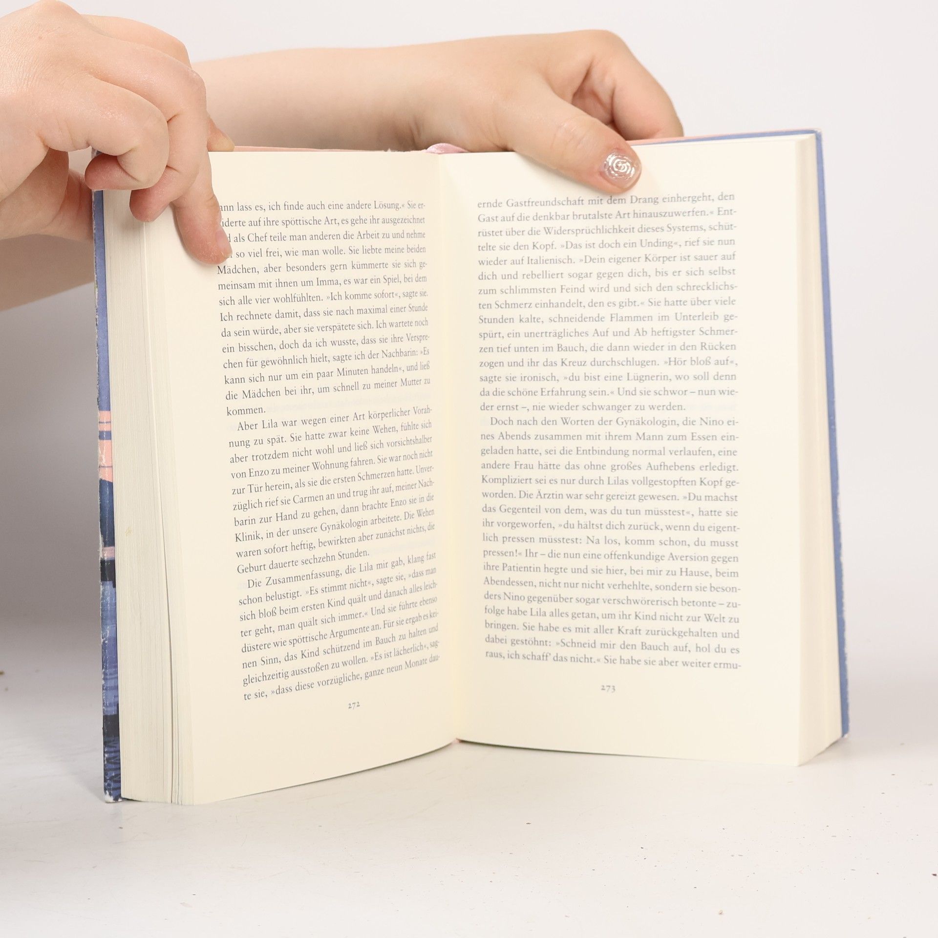 Elena Ferrante Die Geschichte Des Verlorenen Kindes