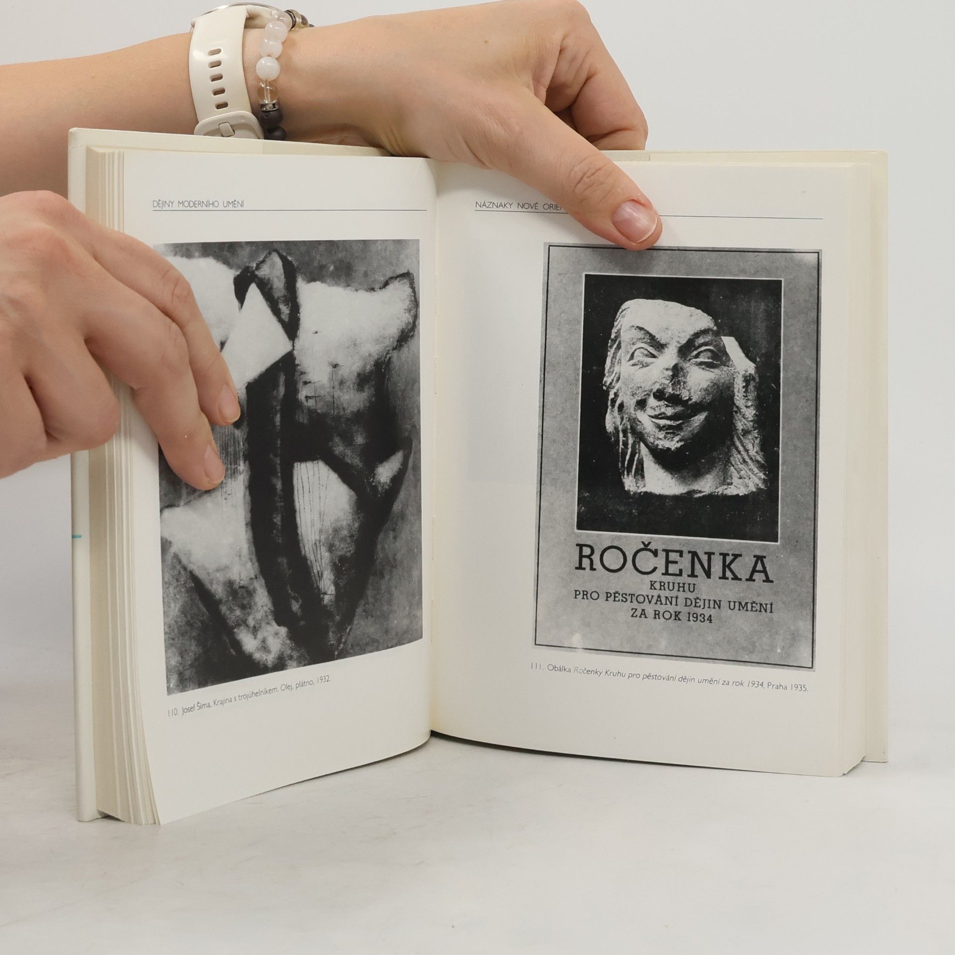 Autorenkollektiv Kapitoly z českého dějepisu umění, díl 2., Dvacáté století