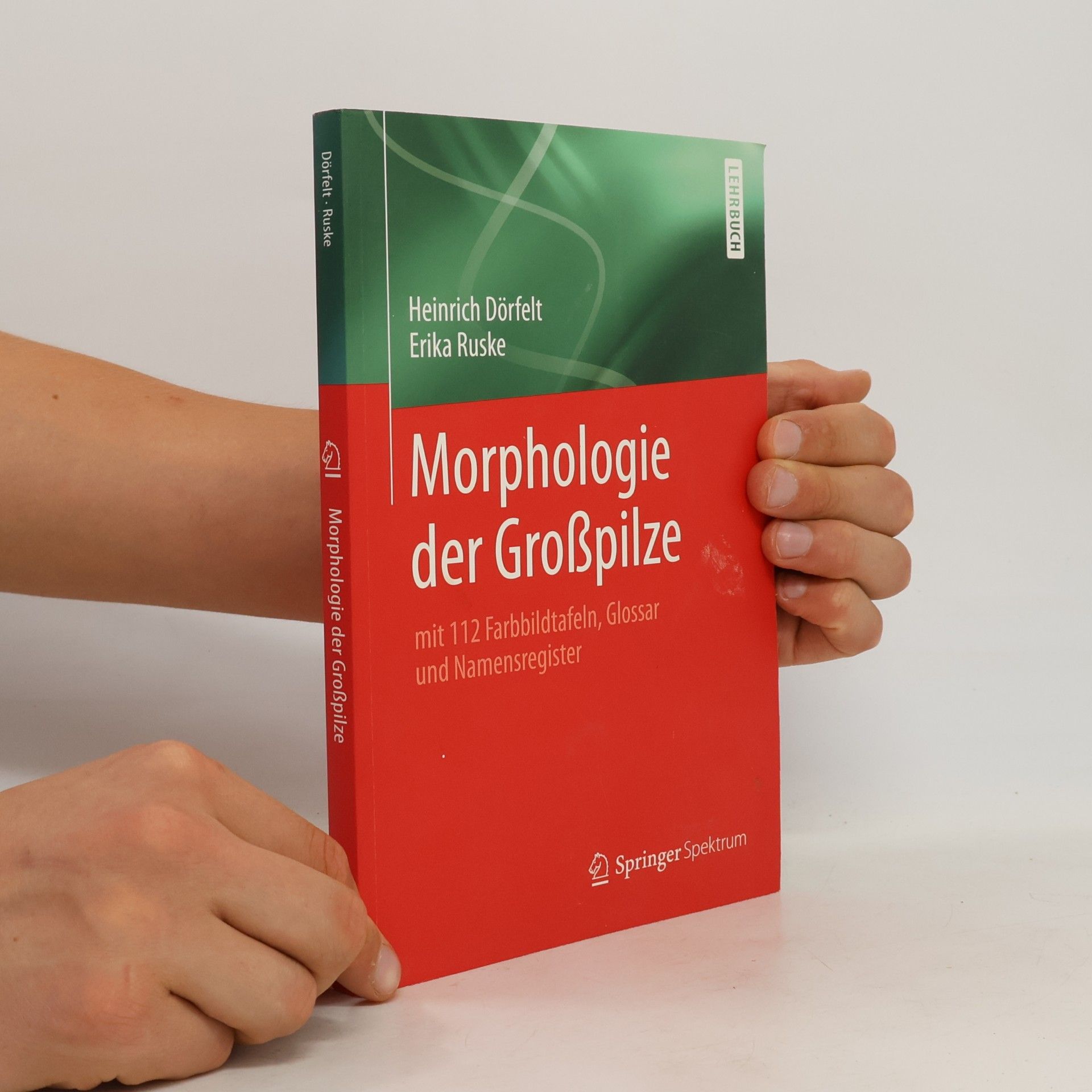 Erika Ruske Morphologie der Großpilze