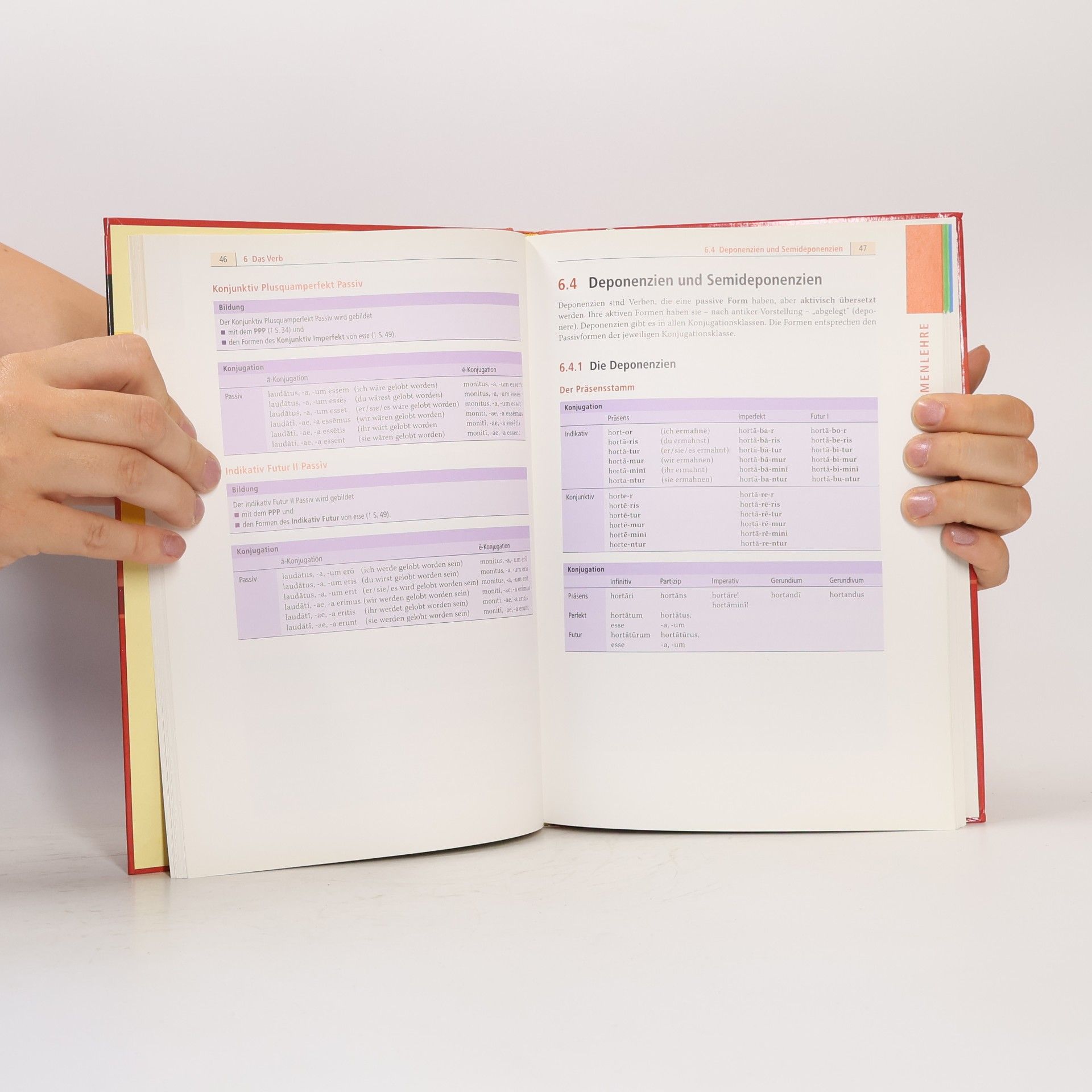 Monika Bornemann Duden, Schulgrammatik extra Latein