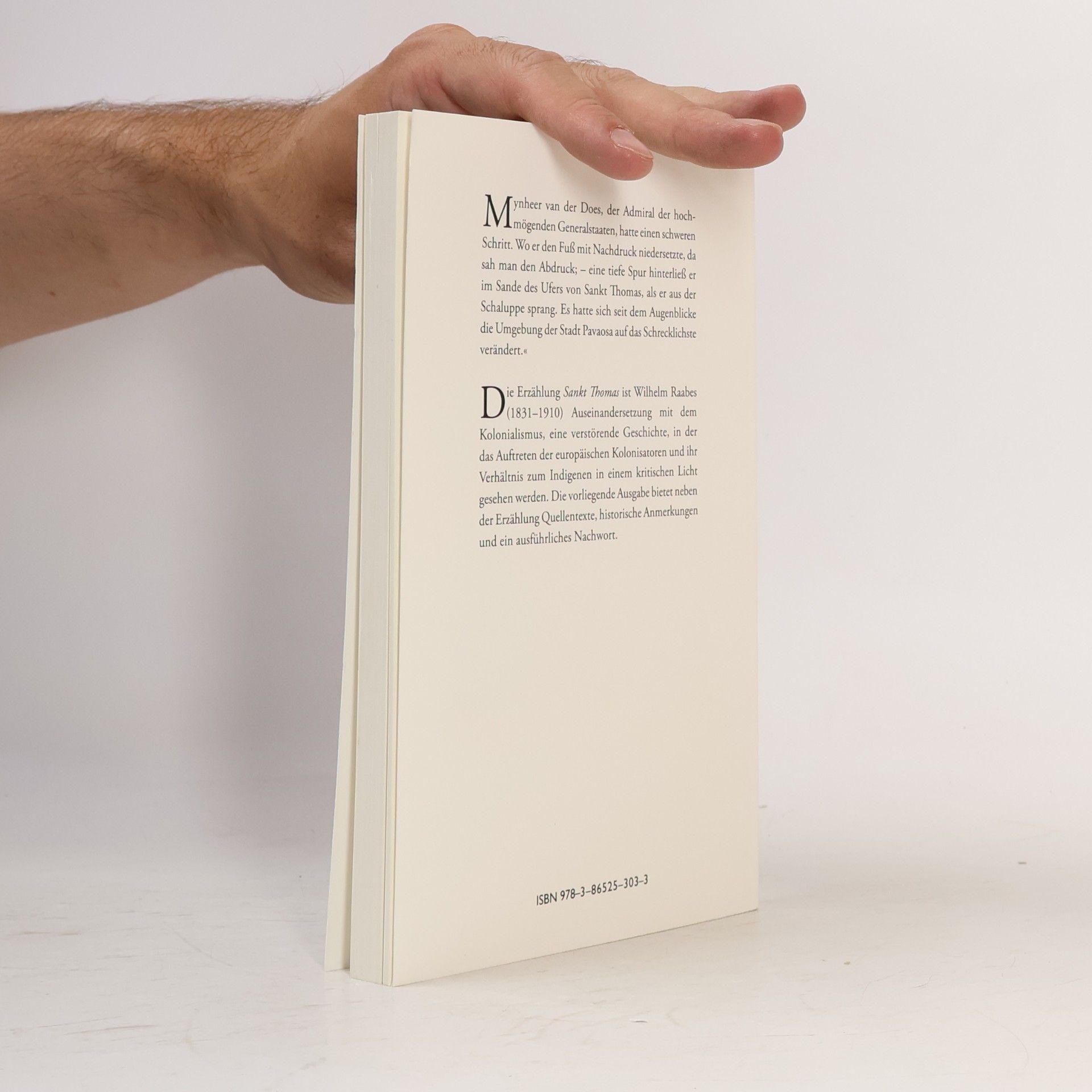 Wilhelm Raabe Bibliothek des 19. Jahrhunderts - 3: Sankt Thomas