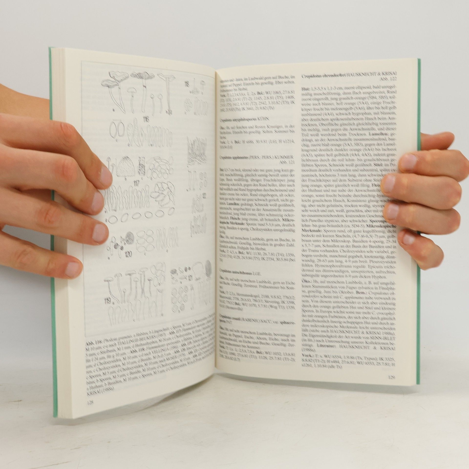 Irmgard Krisai-Greilhuber Libri Botanici - 6: Die Macromyceten im Raum von Wien