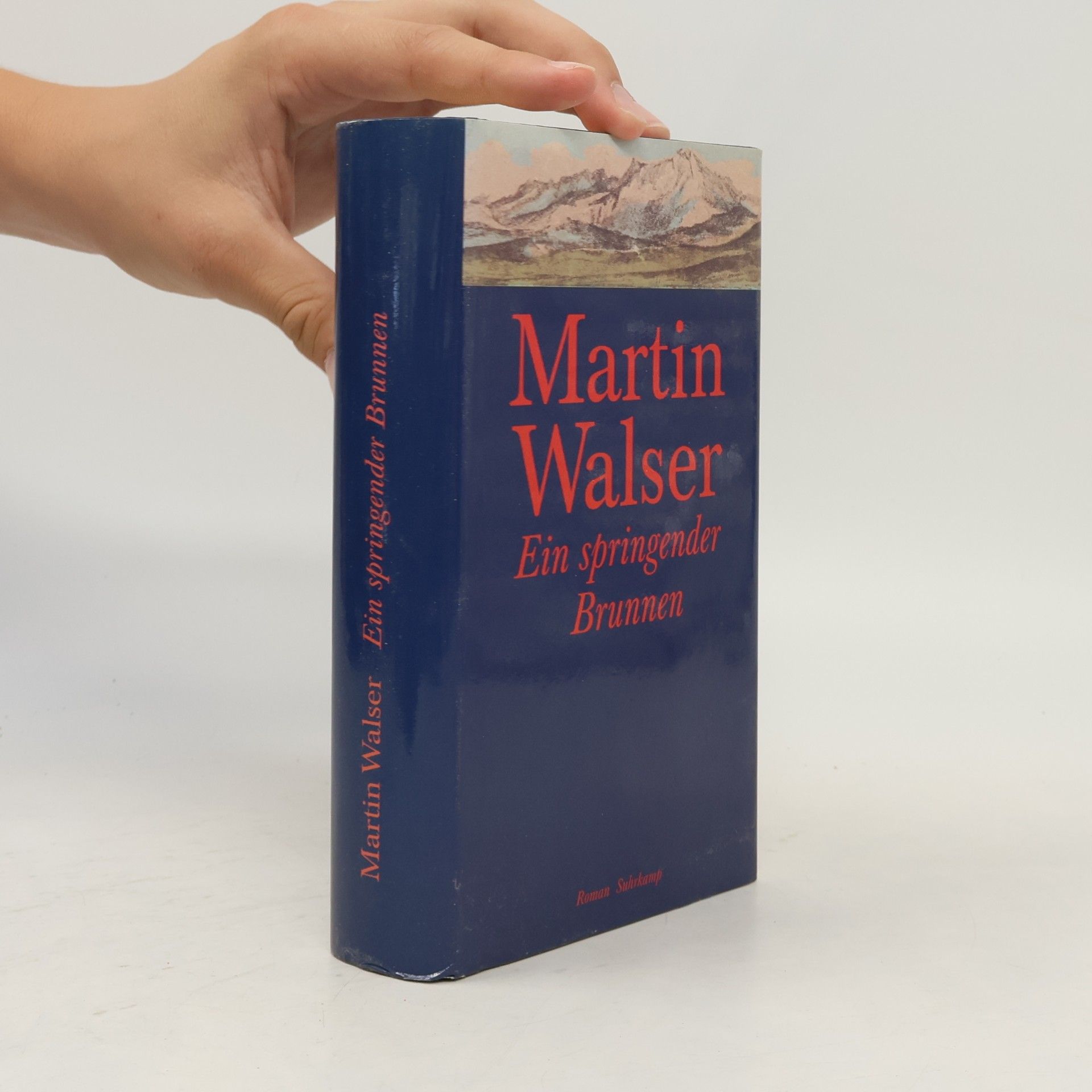 Martin Walser Ein springender Brunnen