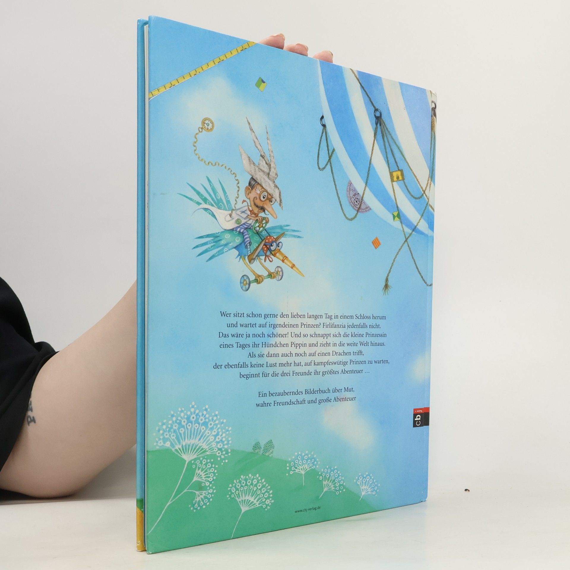 Ulrike Mühlhoff Die kleine Prinzessin und der Drache, der nicht fliegen konnte
