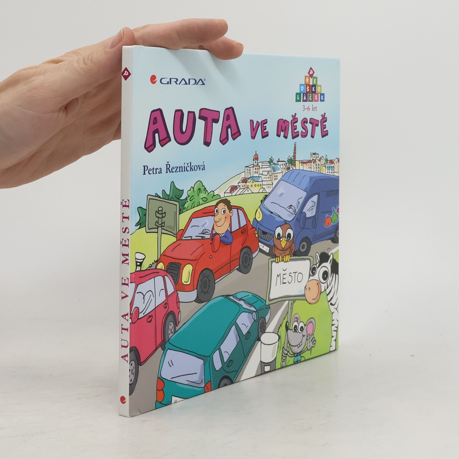 Petra Řezníčková Auta ve městě