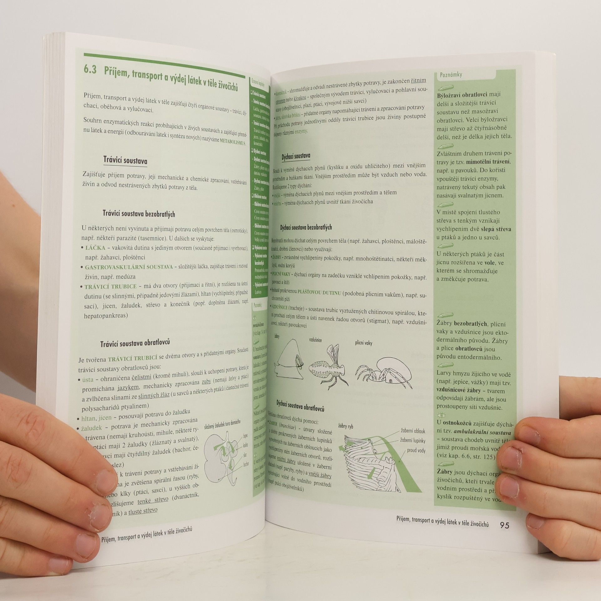 Marika Benešová Odmaturuj! Z biologie
