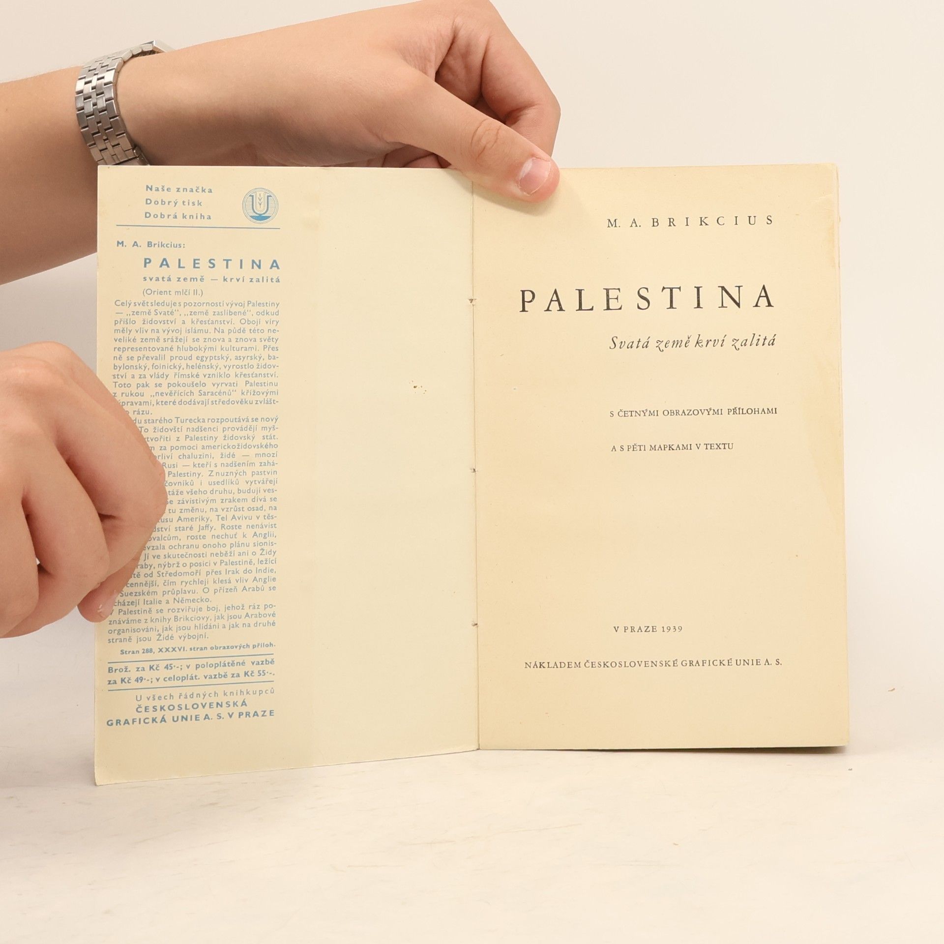 M. A. Brikcius Palestina - Svatá země krví zalitá