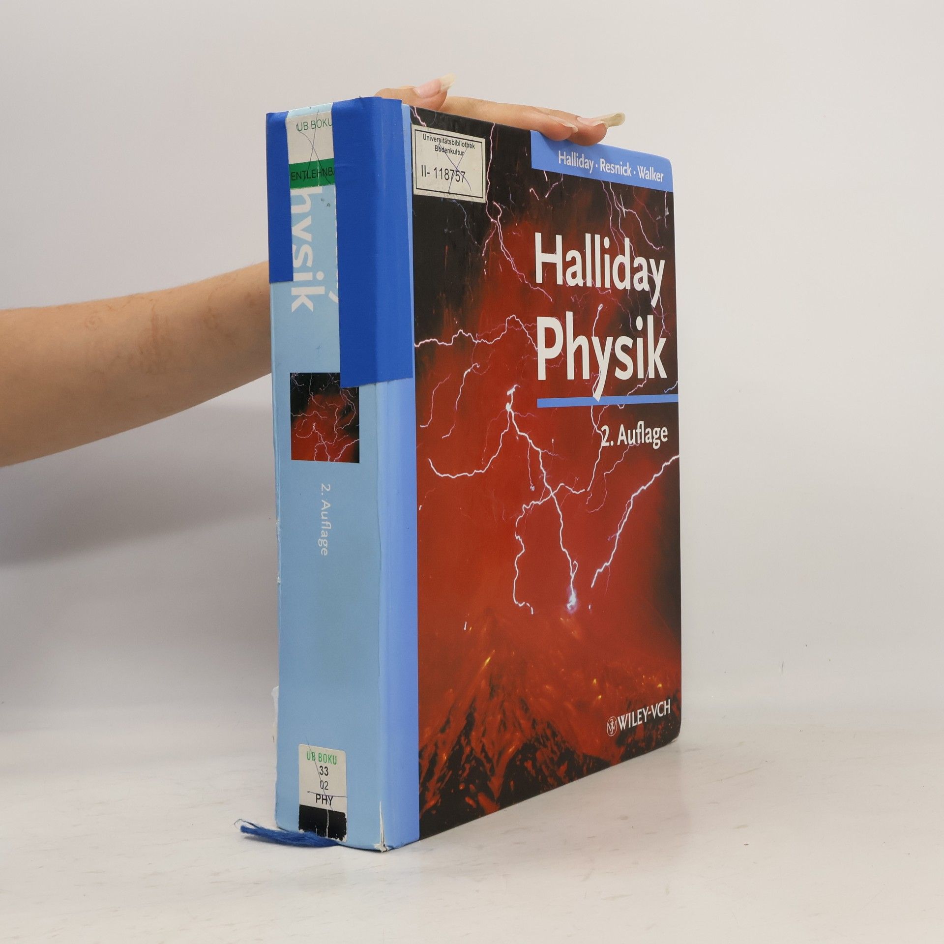 Stephan W. Koch Halliday Physik