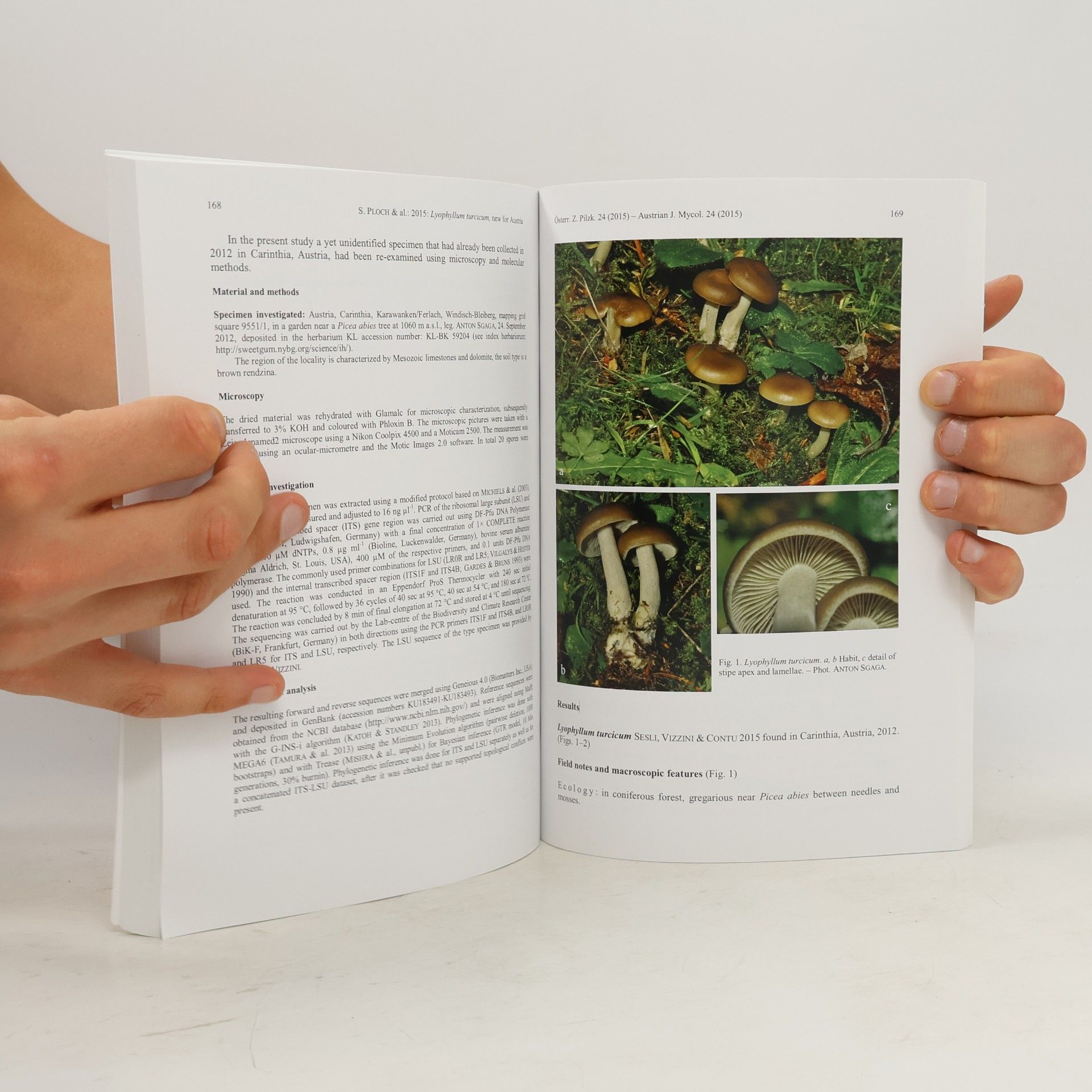 Various authors Österreichische Zeitschift für Pilzkunde 24