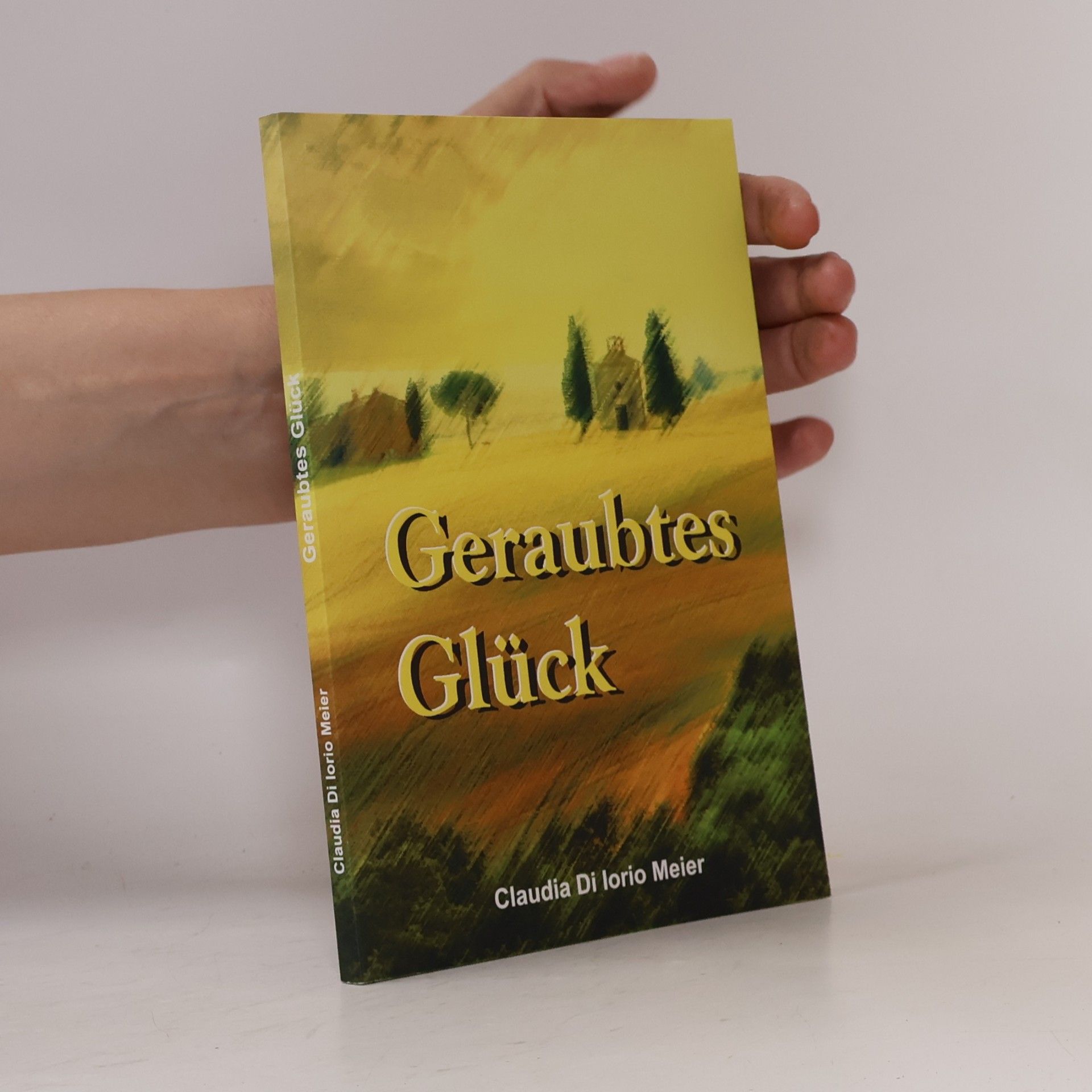 Claudia Di Iorio Meier Geraubtes Glück