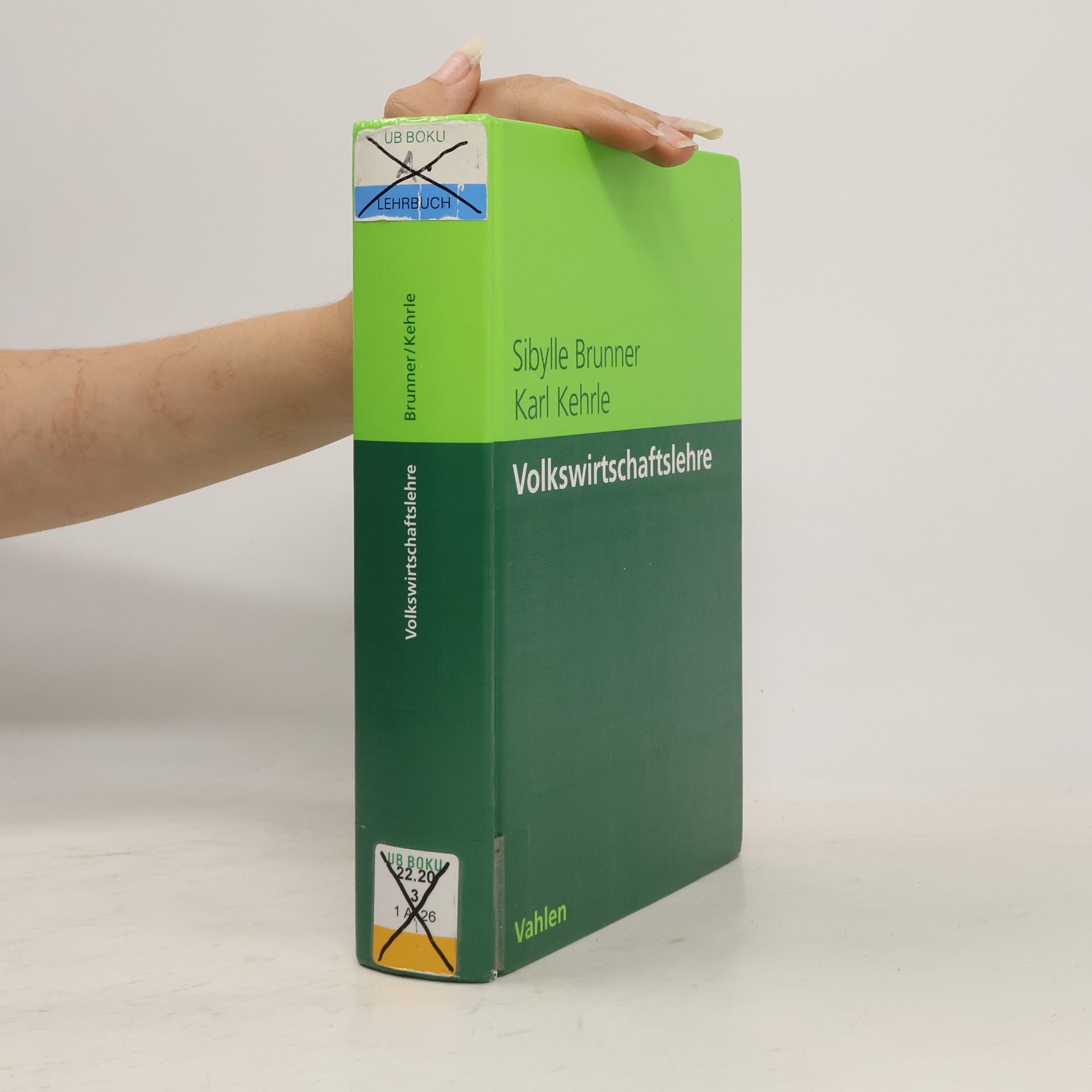 Sibylle Brunner Volkswirtschaftslehre: Lehrbuch