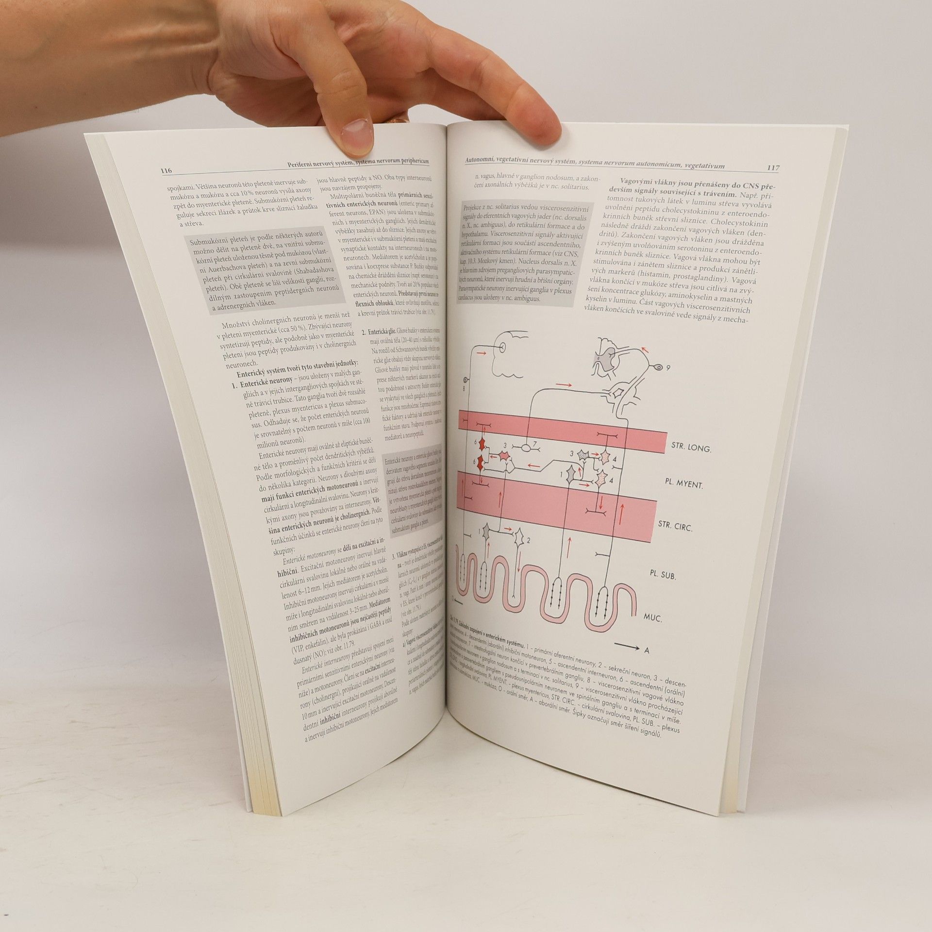 Miloš Grim Základy anatomie 4b.