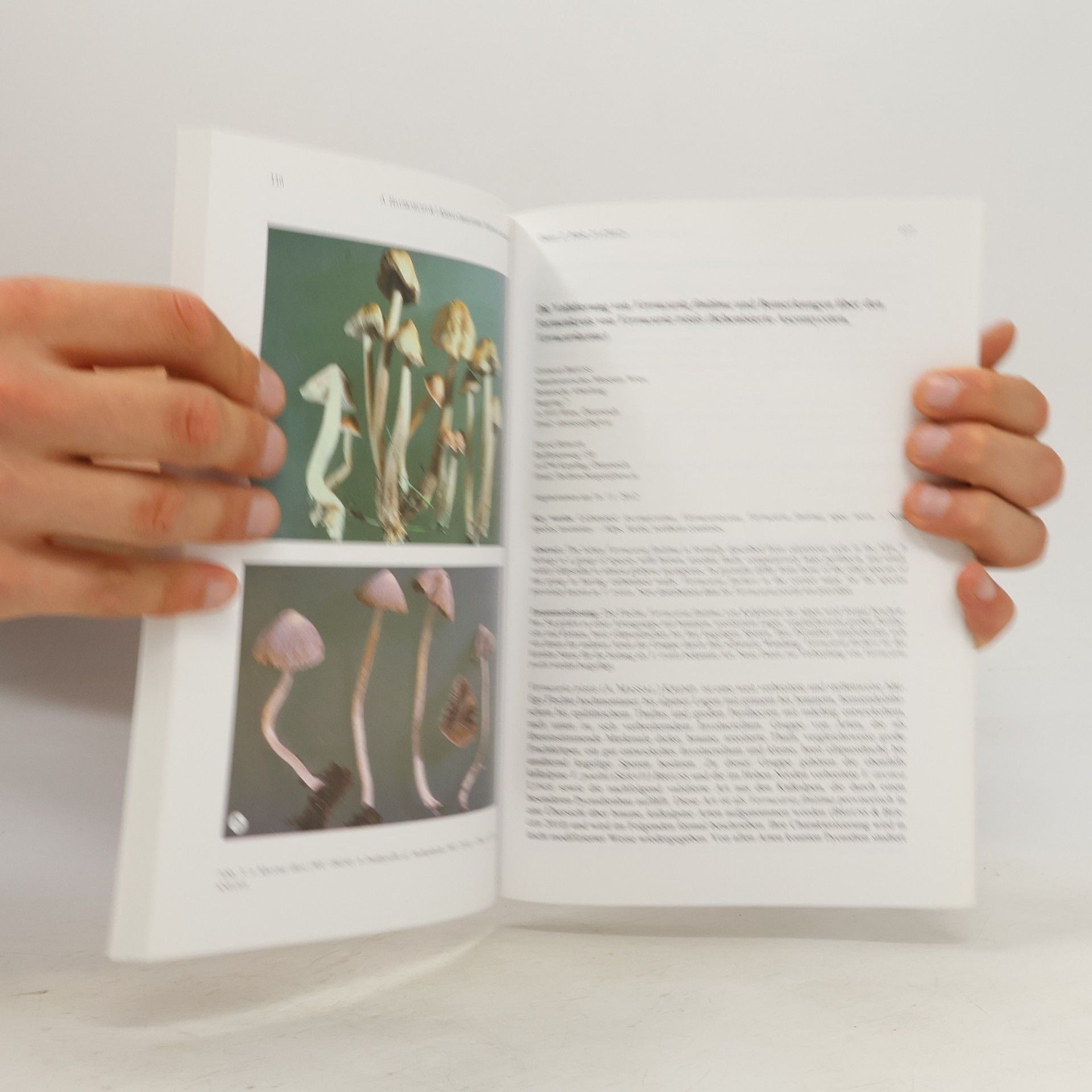 Various authors Österreichische Zeitschift für Pilzkunde. Austrian Journal of Mycology 21