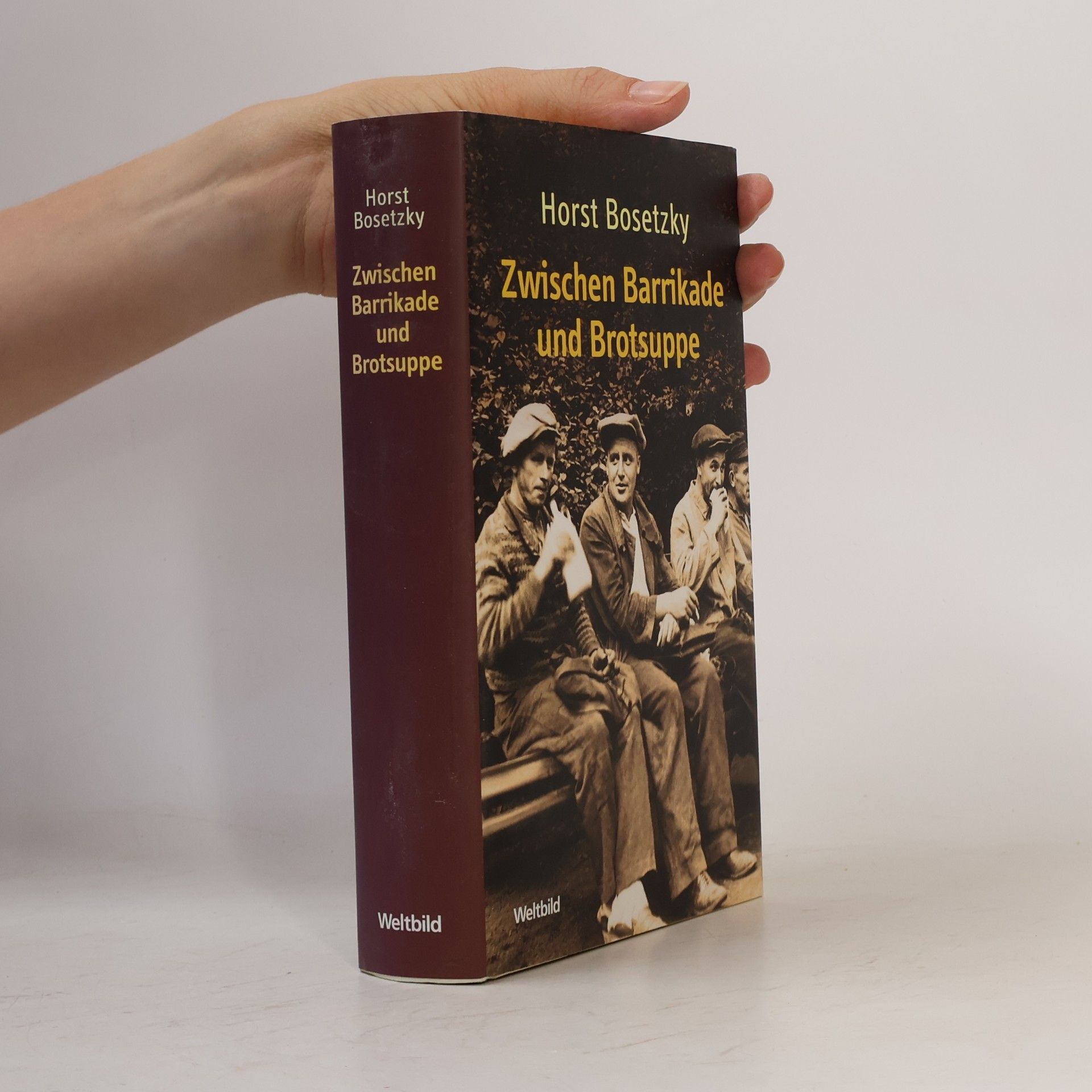 Horst Bosetzky Zwischen Barrikade und Brotsuppe