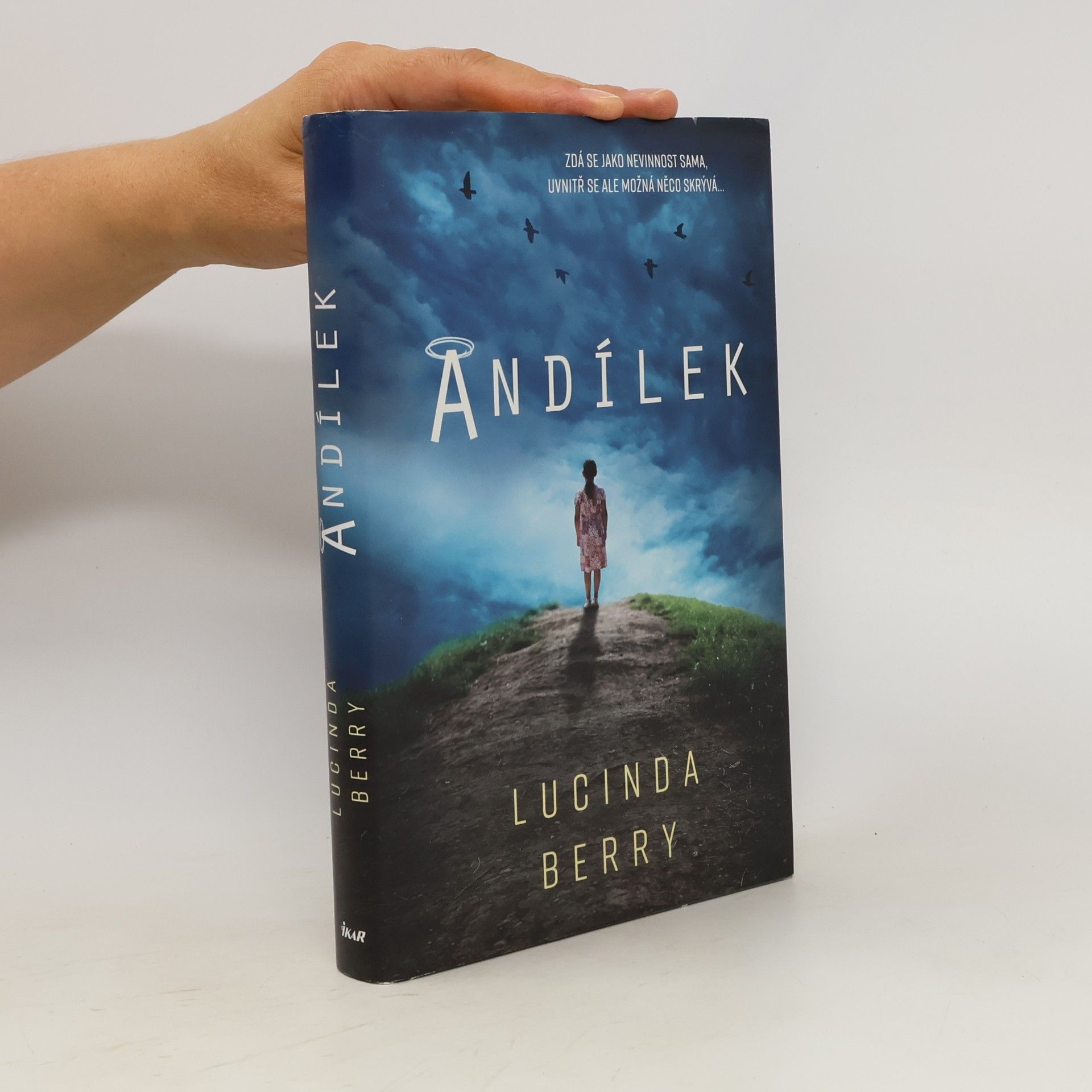 Lucinda Berry Andílek