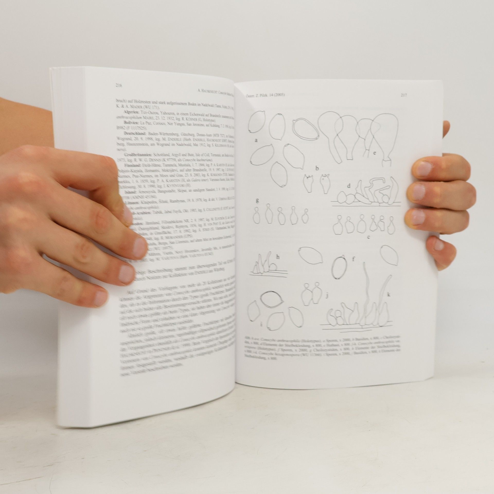 Various authors Österreichische Zeitschift für Pilzkunde. Austrian Journal of Mycology 14