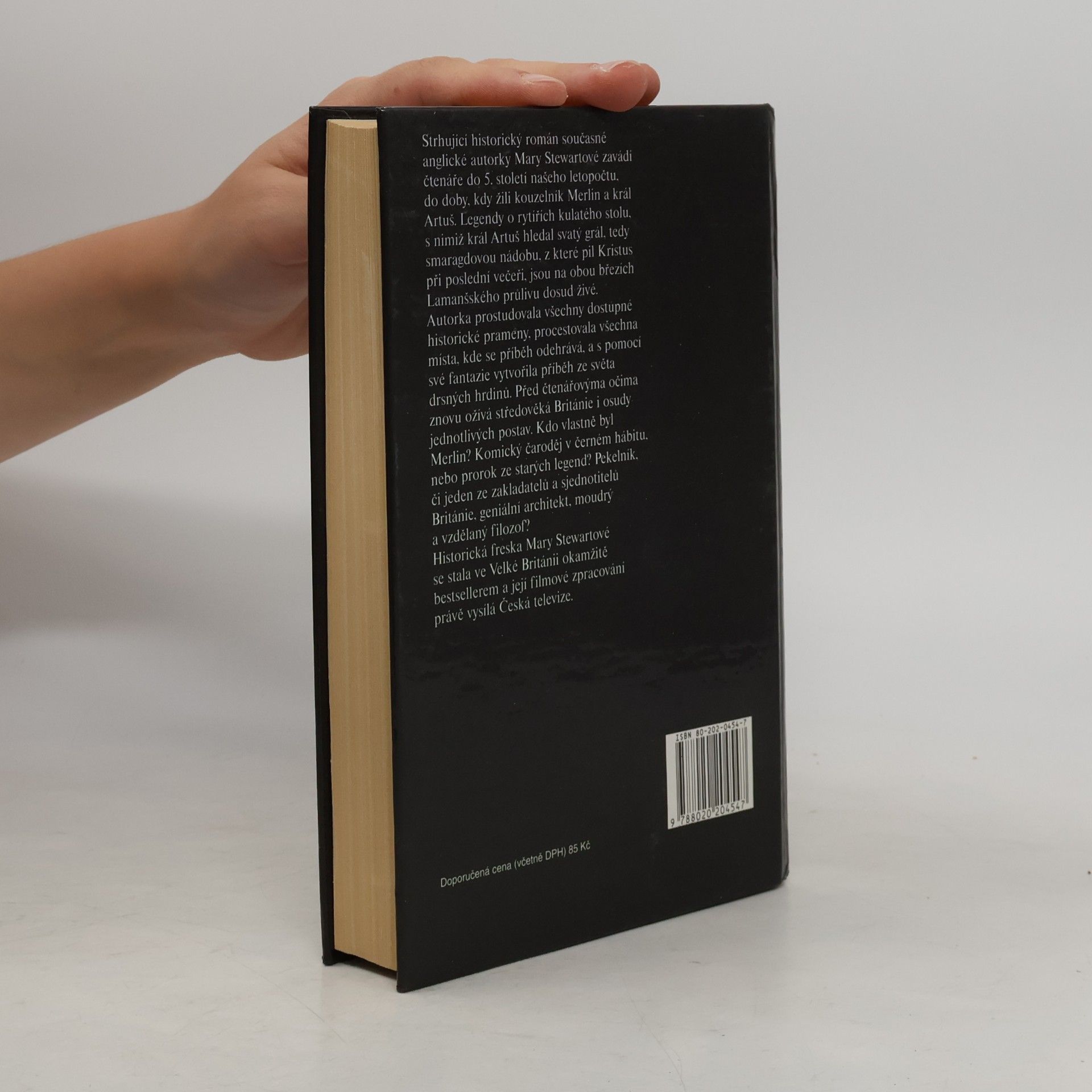 Mary Stewart Kouzelník Merlin