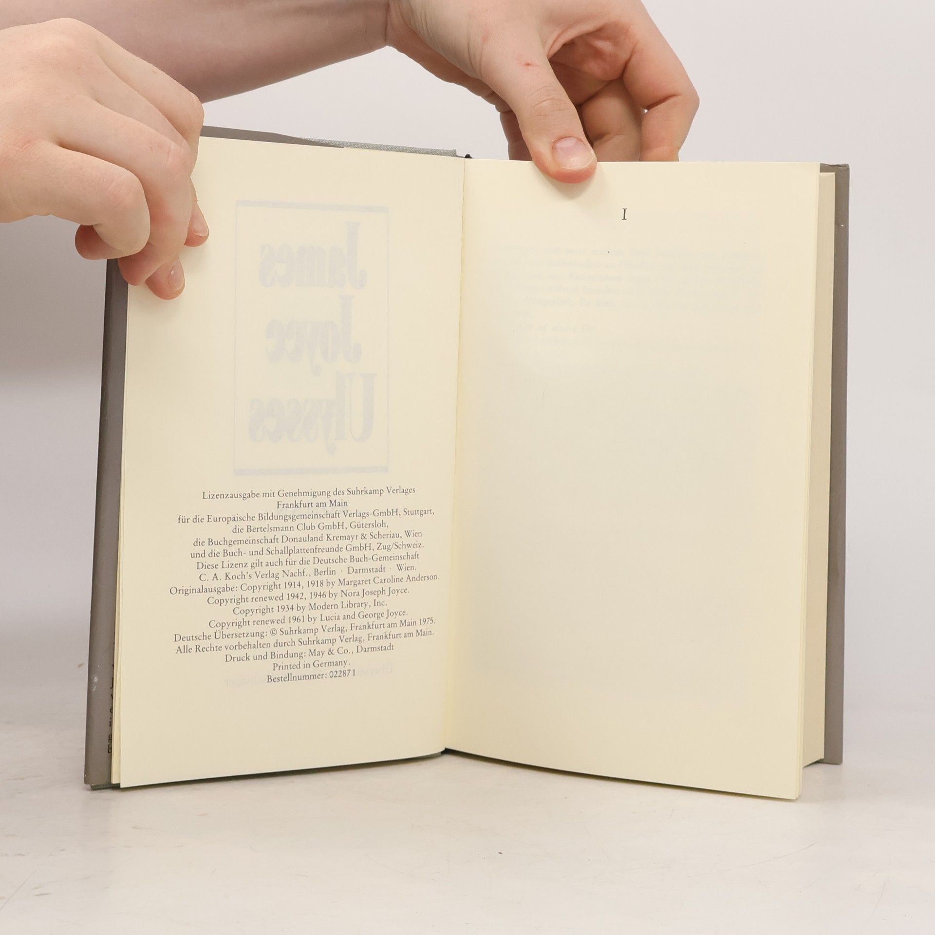 James Joyce Ulysses