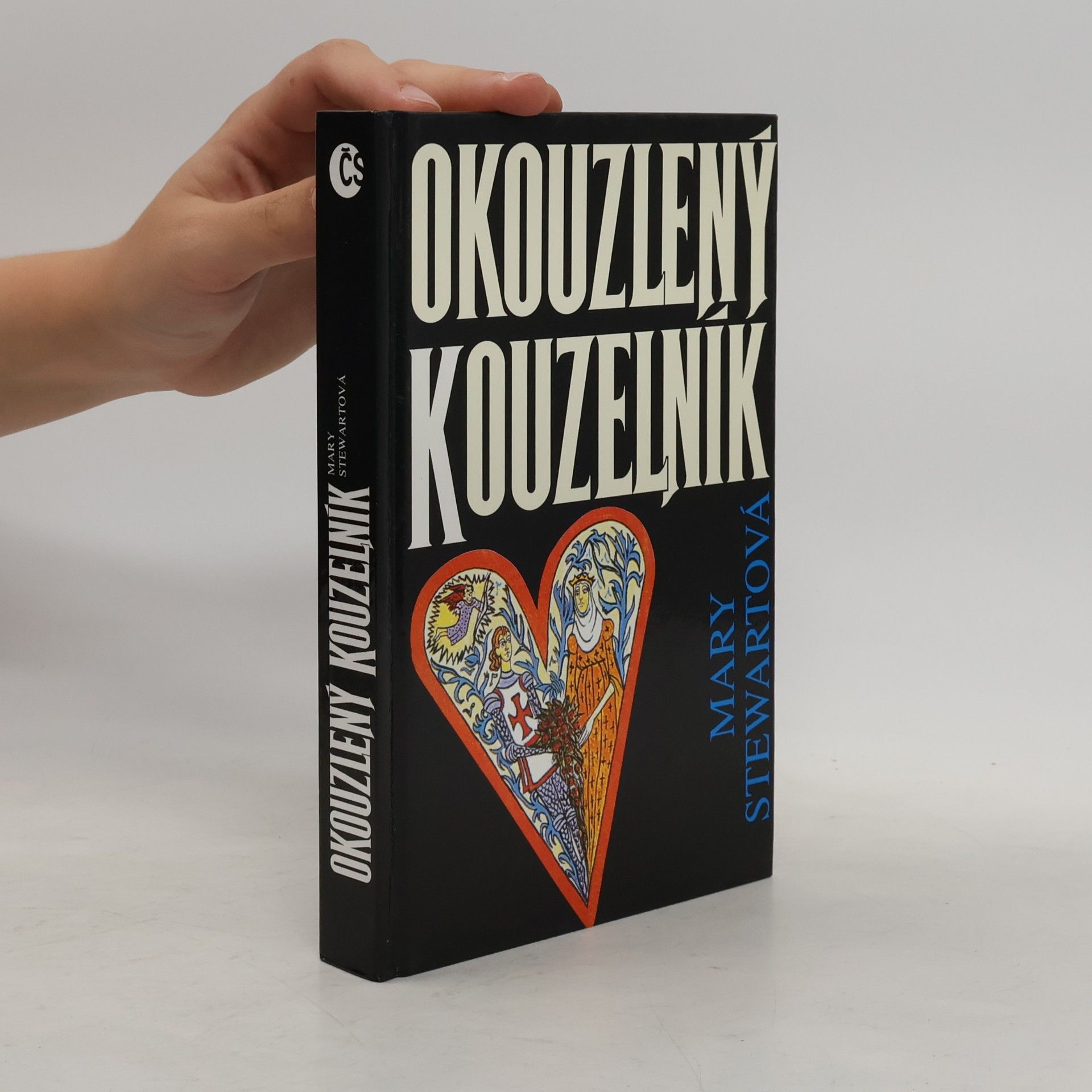 Mary Stewart Okouzlený kouzelník