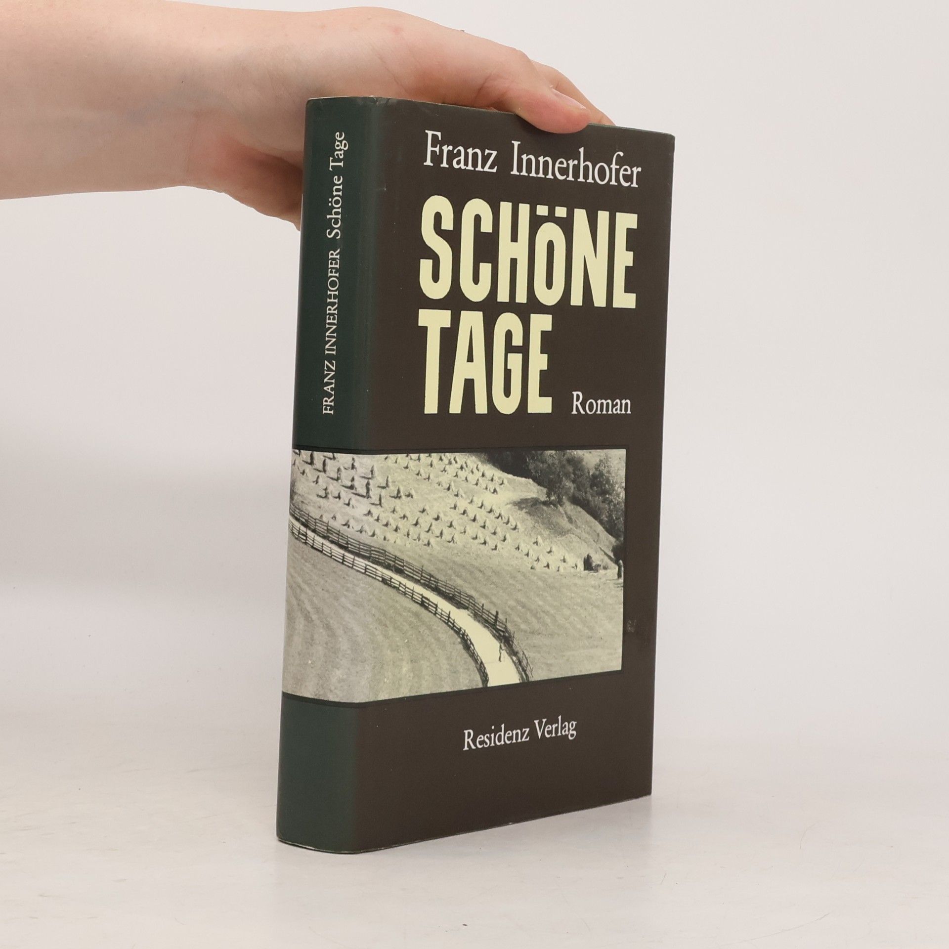 Franz Innerhofer Schöne Tage