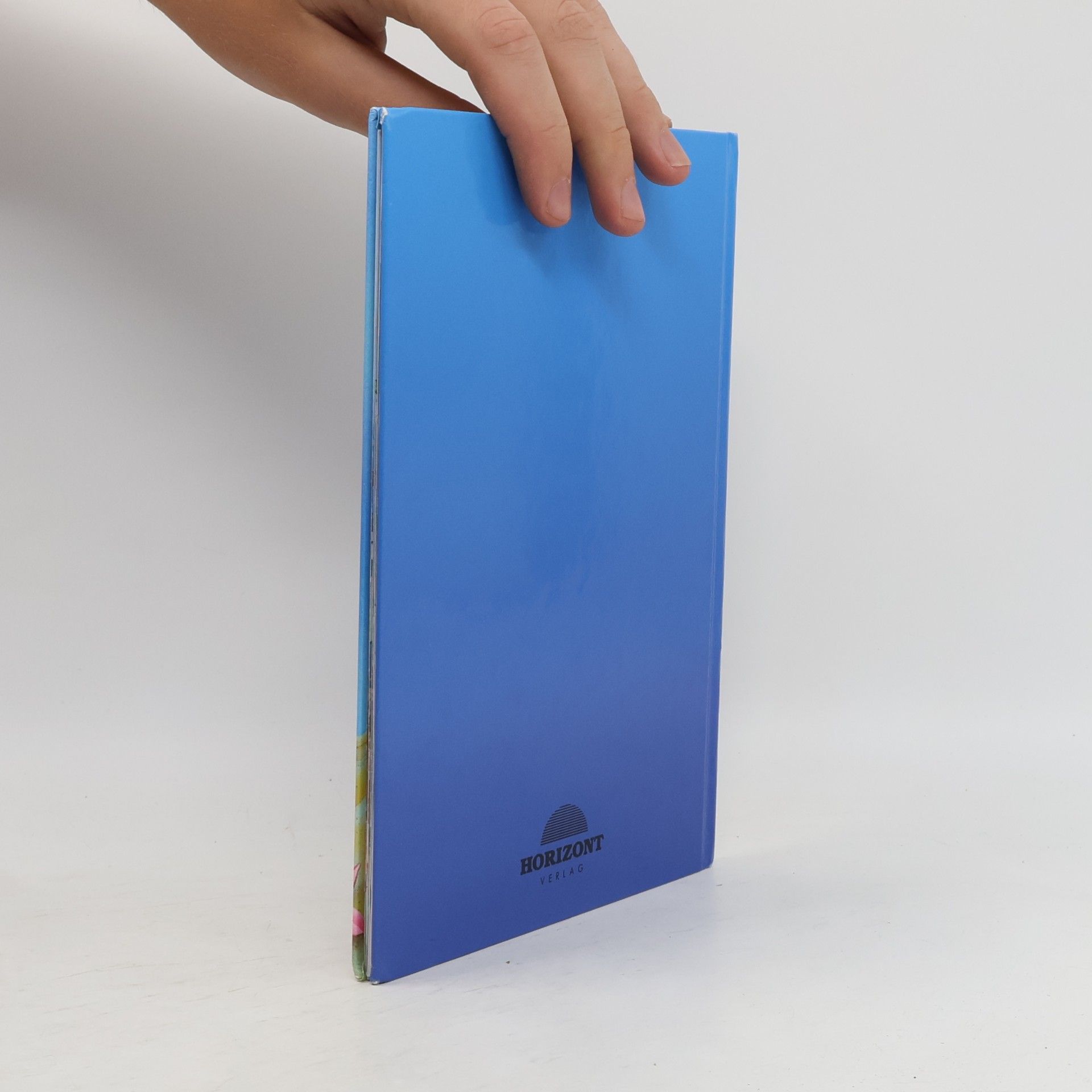 Autores varios Arielle und der kleine Wal