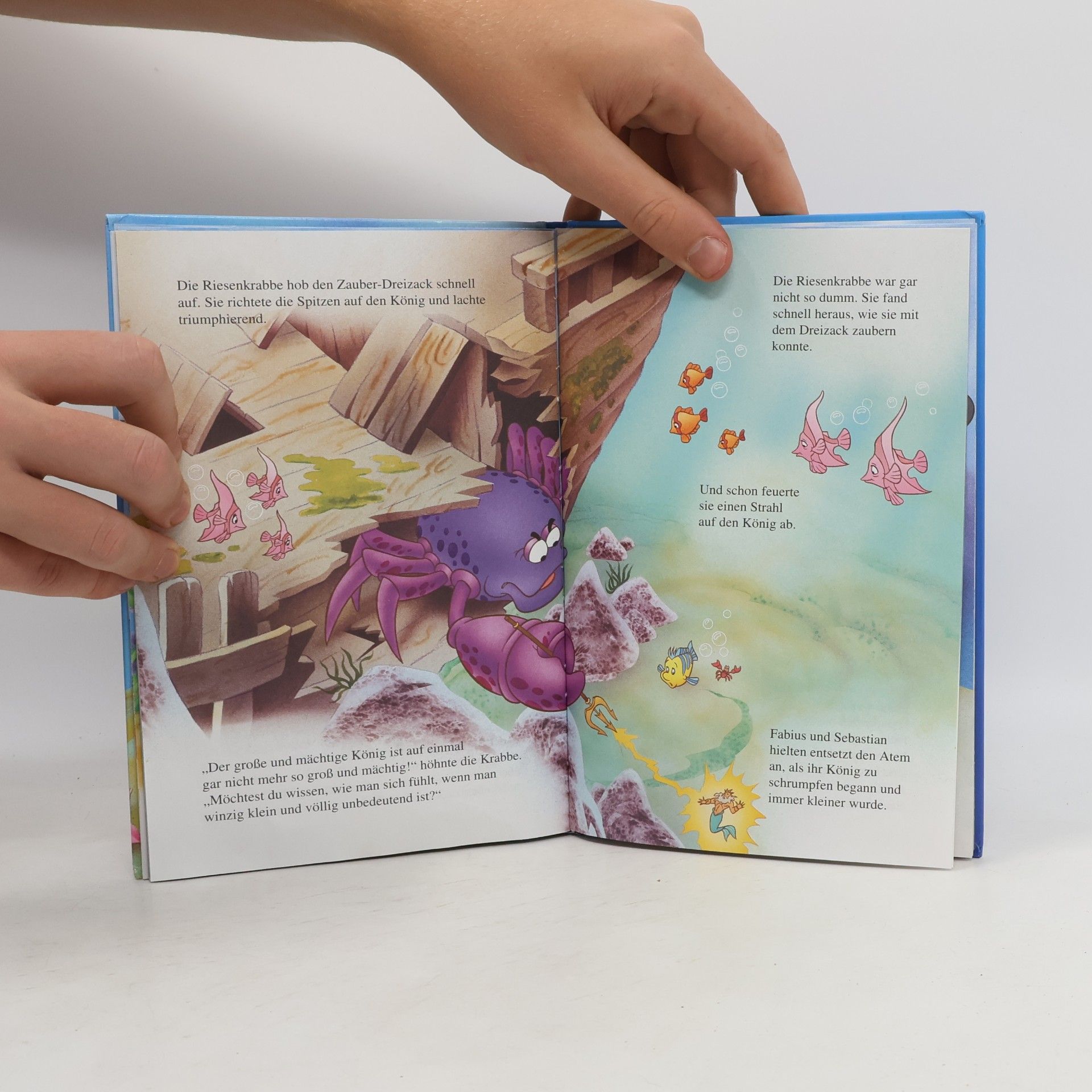 Autores varios Arielle und der kleine Wal