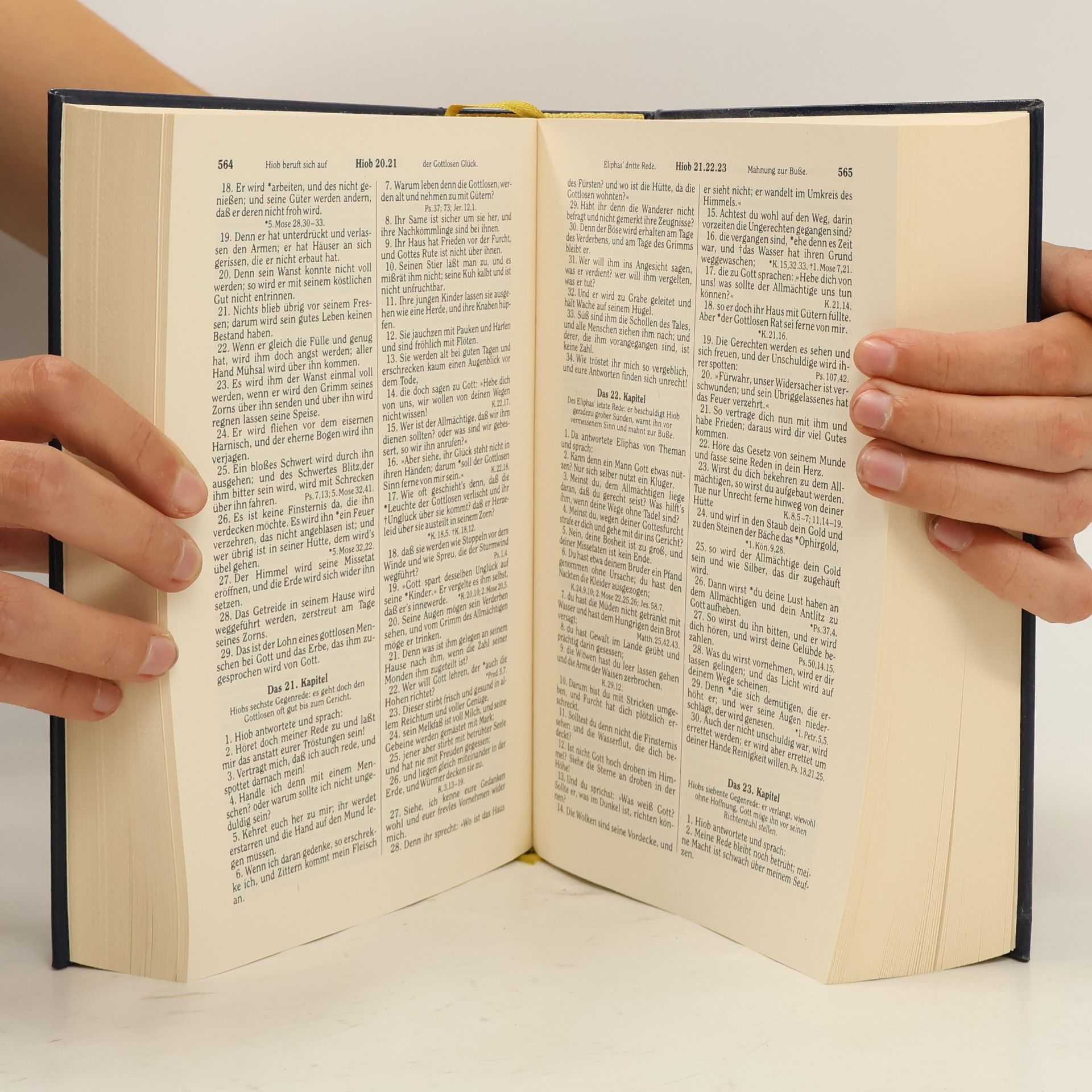 Martin Luther Die Bibel oder die ganze Heilige Schrift des Alten und Neuen Testaments