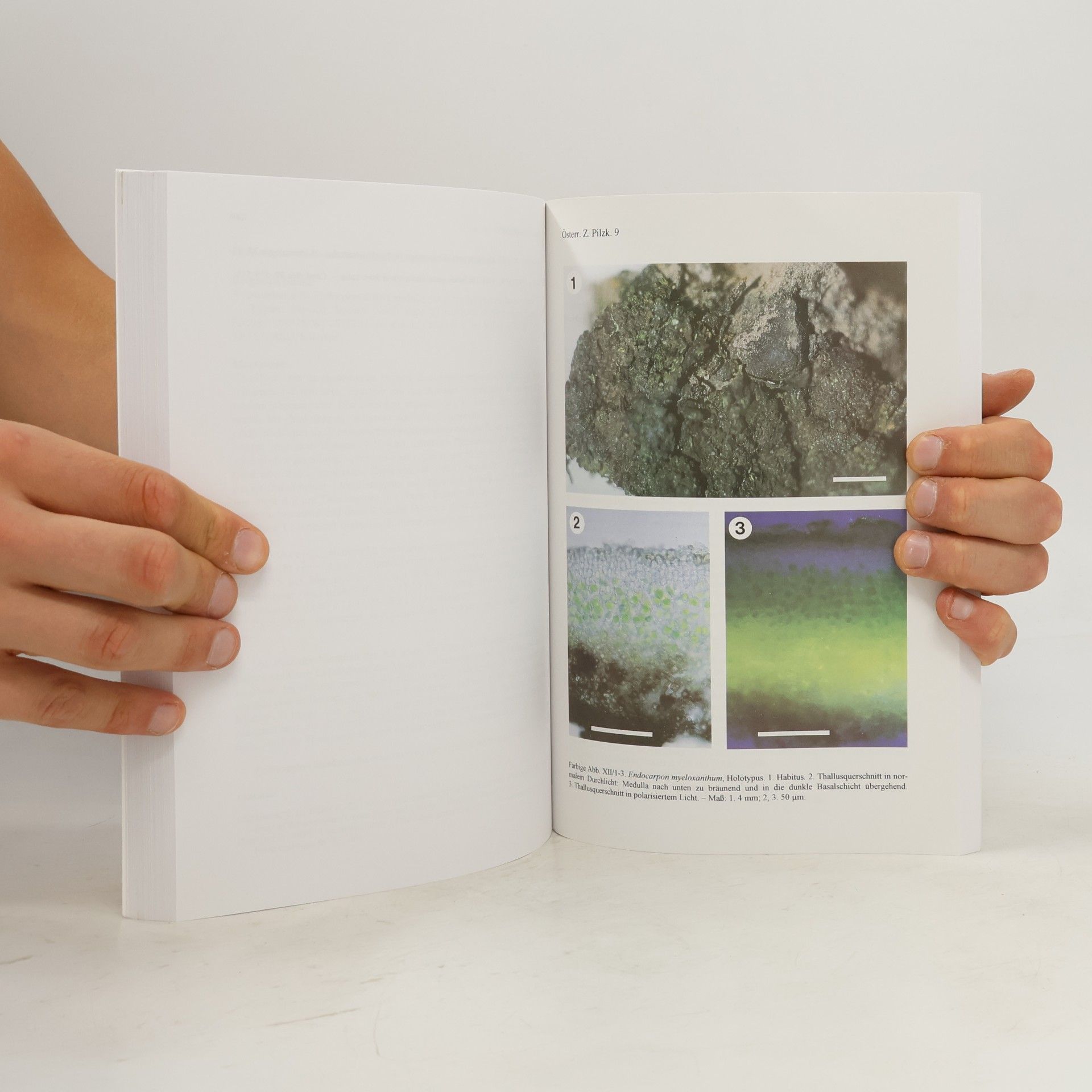 Various authors Österreichische Zeitschrift für Pilzkunde 9