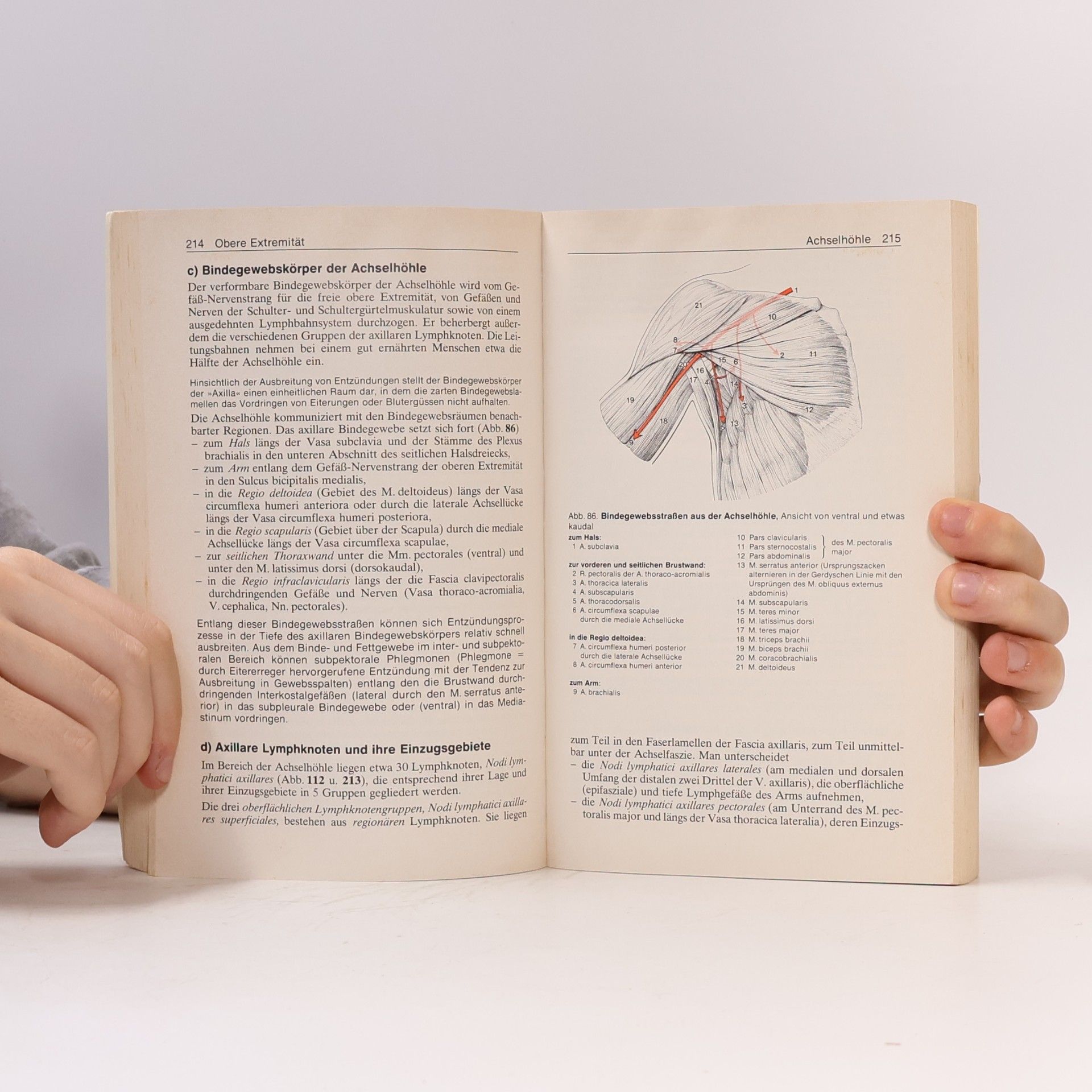 Hans Frick Allgemeine Anatomie