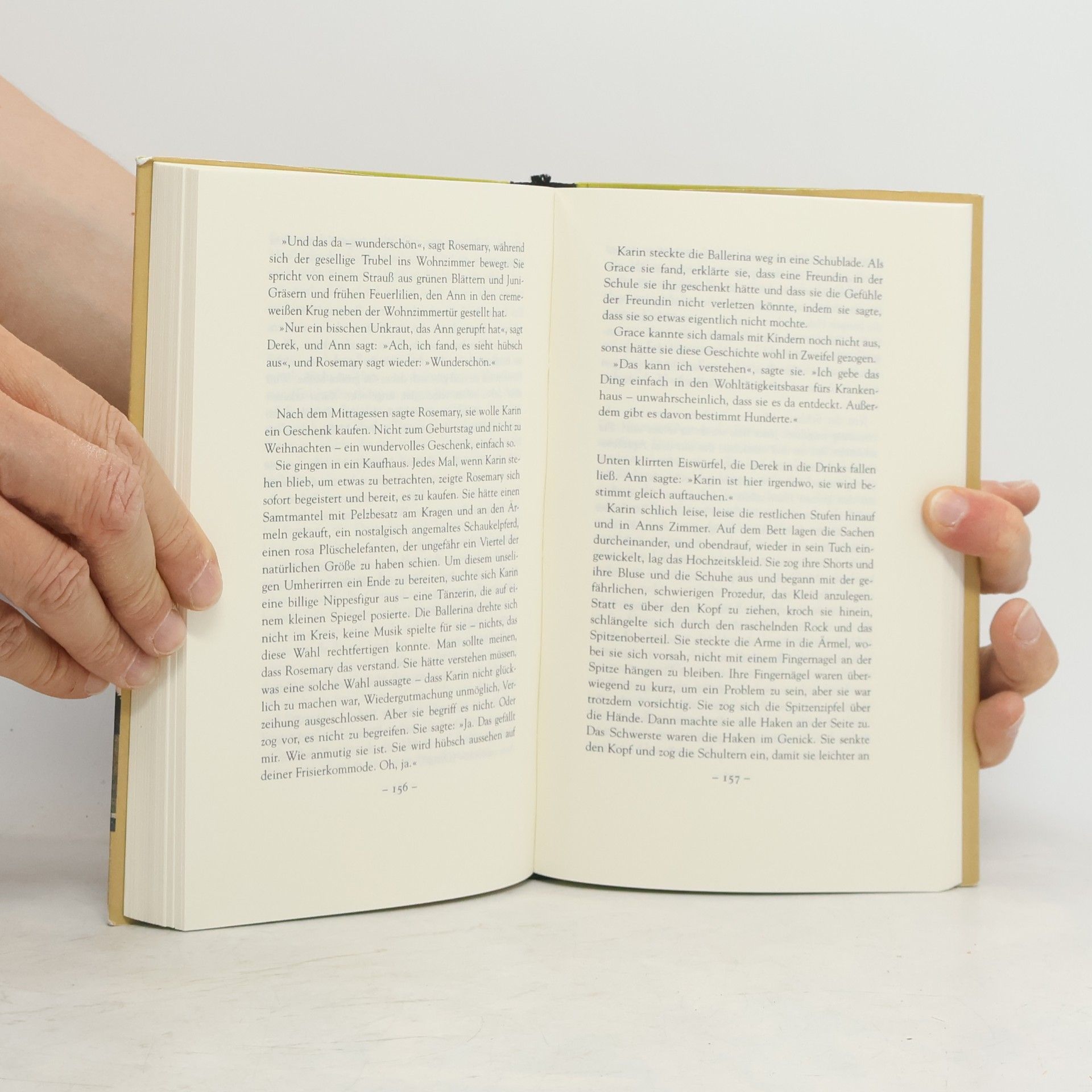 Alice Munro Der Traum meiner Mutter